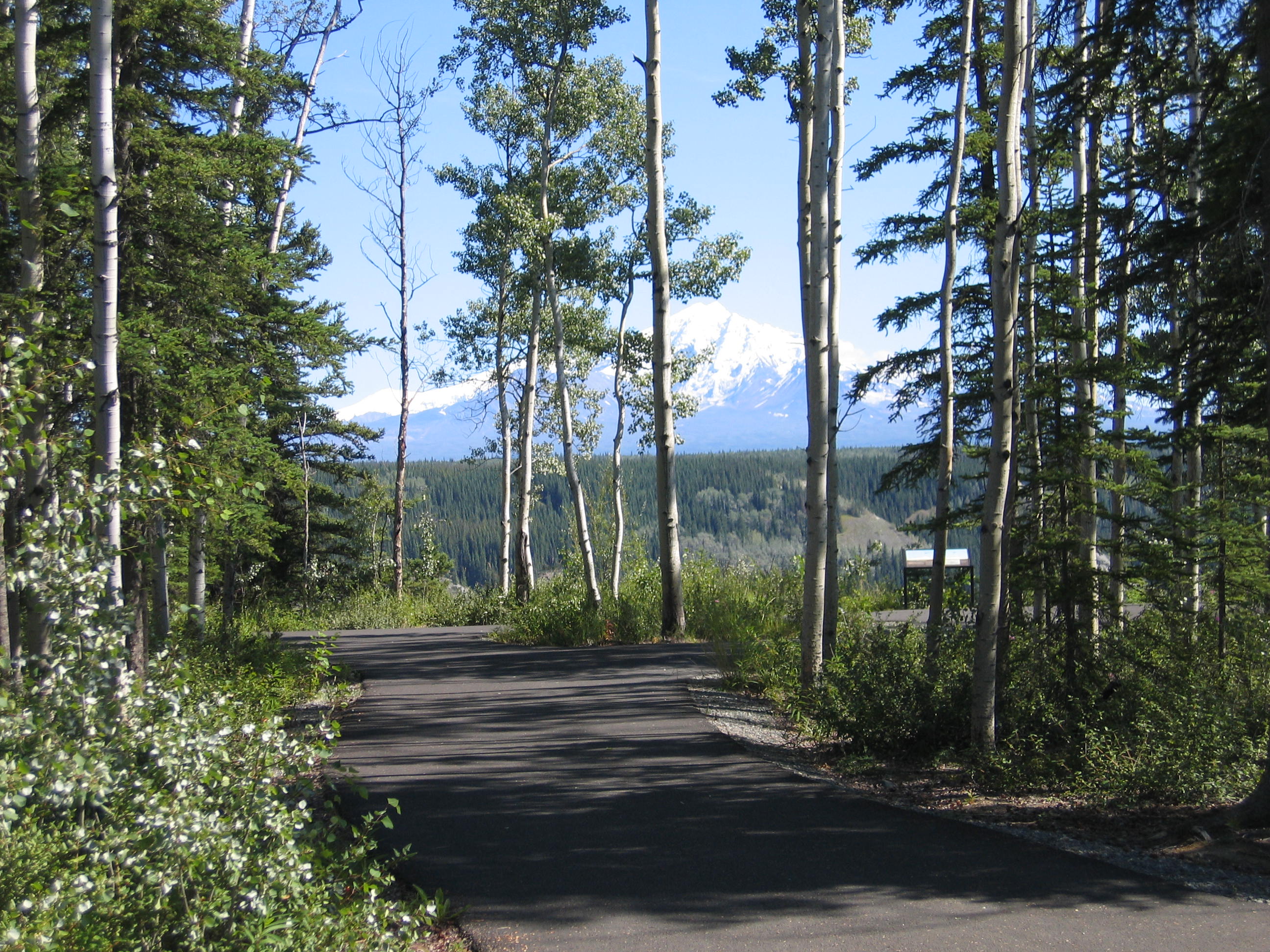 Boreal Forest Trail