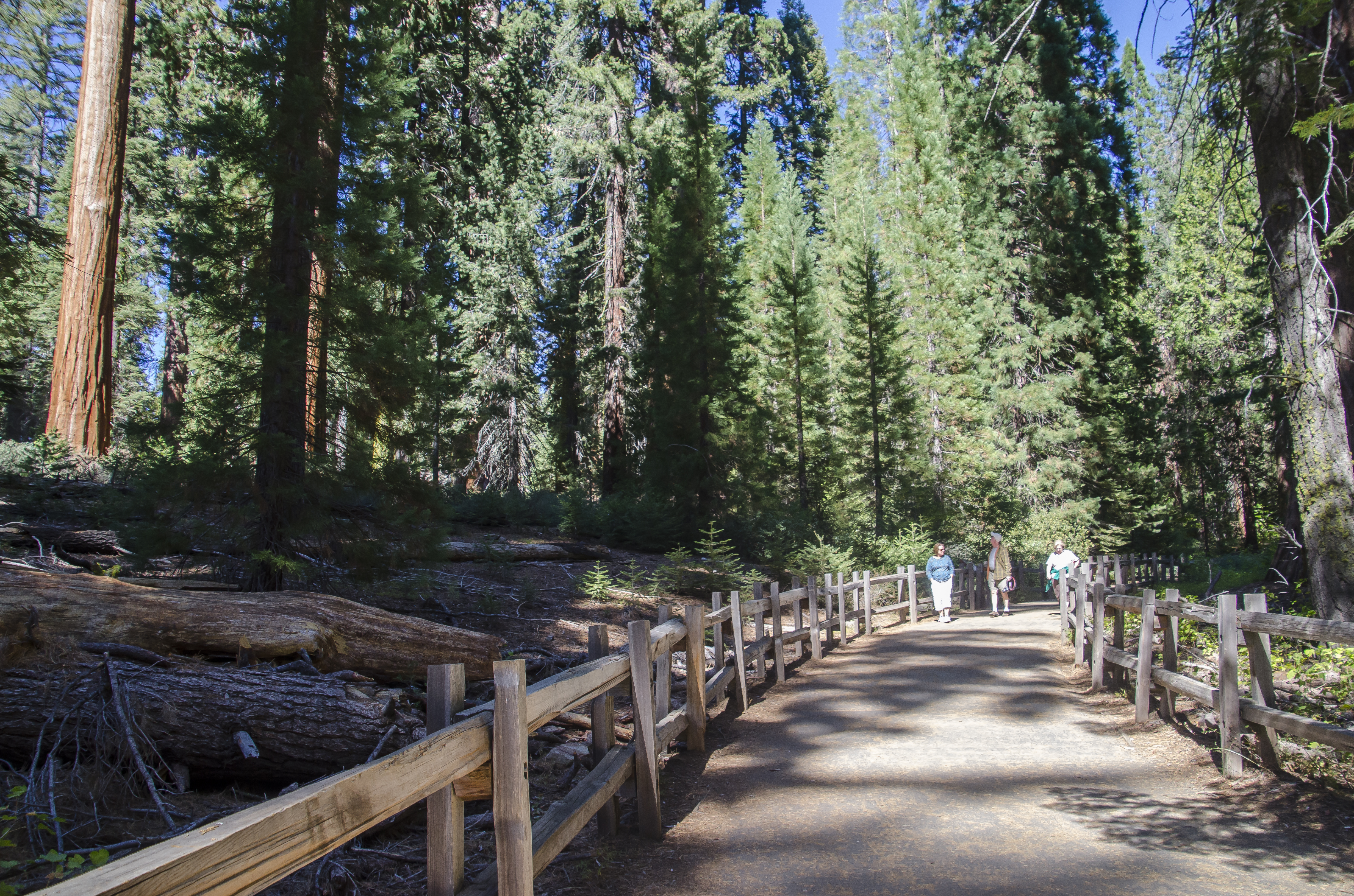 A rustic split-rail fence lines a wide, paved path