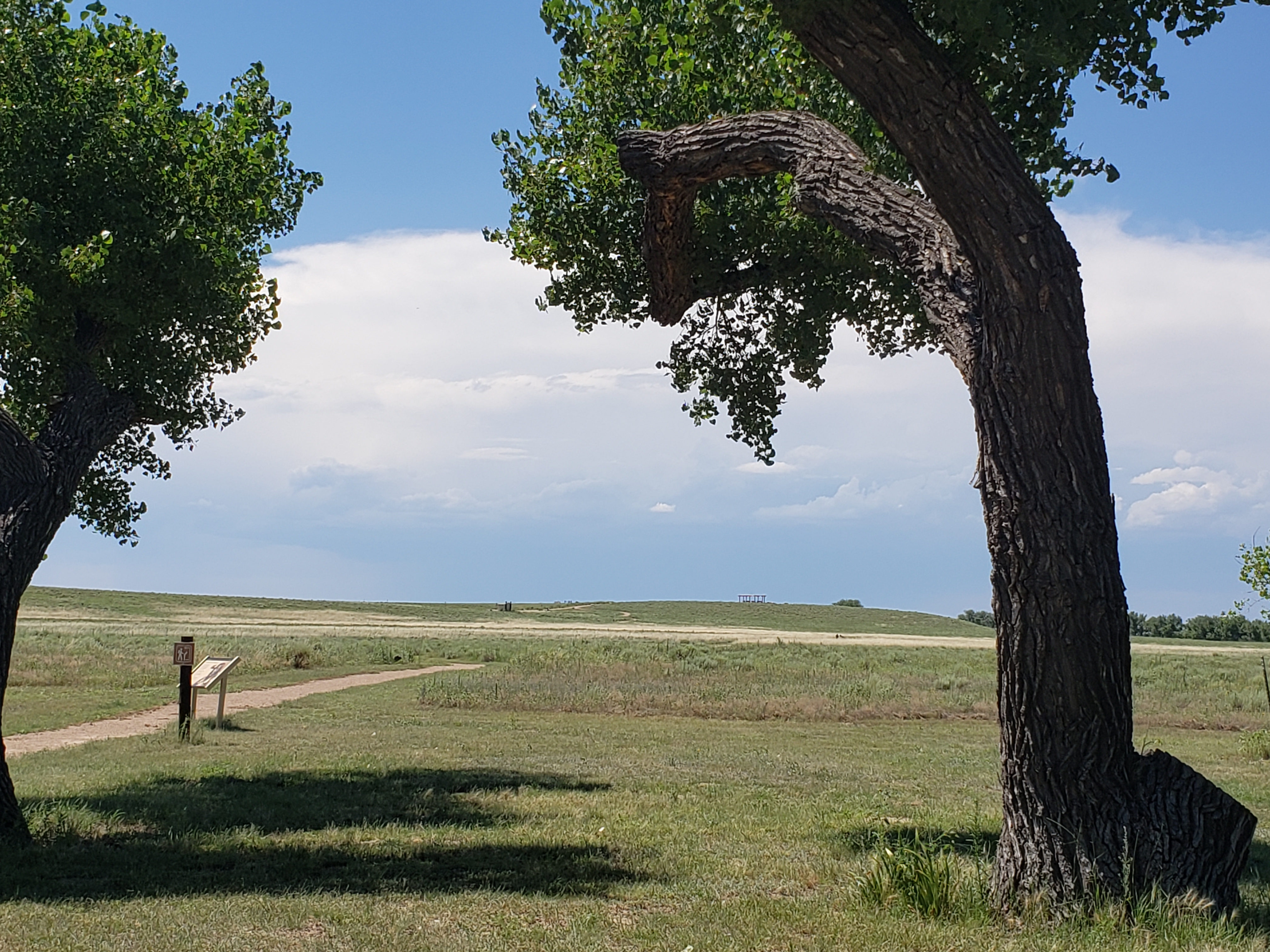 A gravel trail leads away from a shaded area out onto open prairie. A hill is in the background.