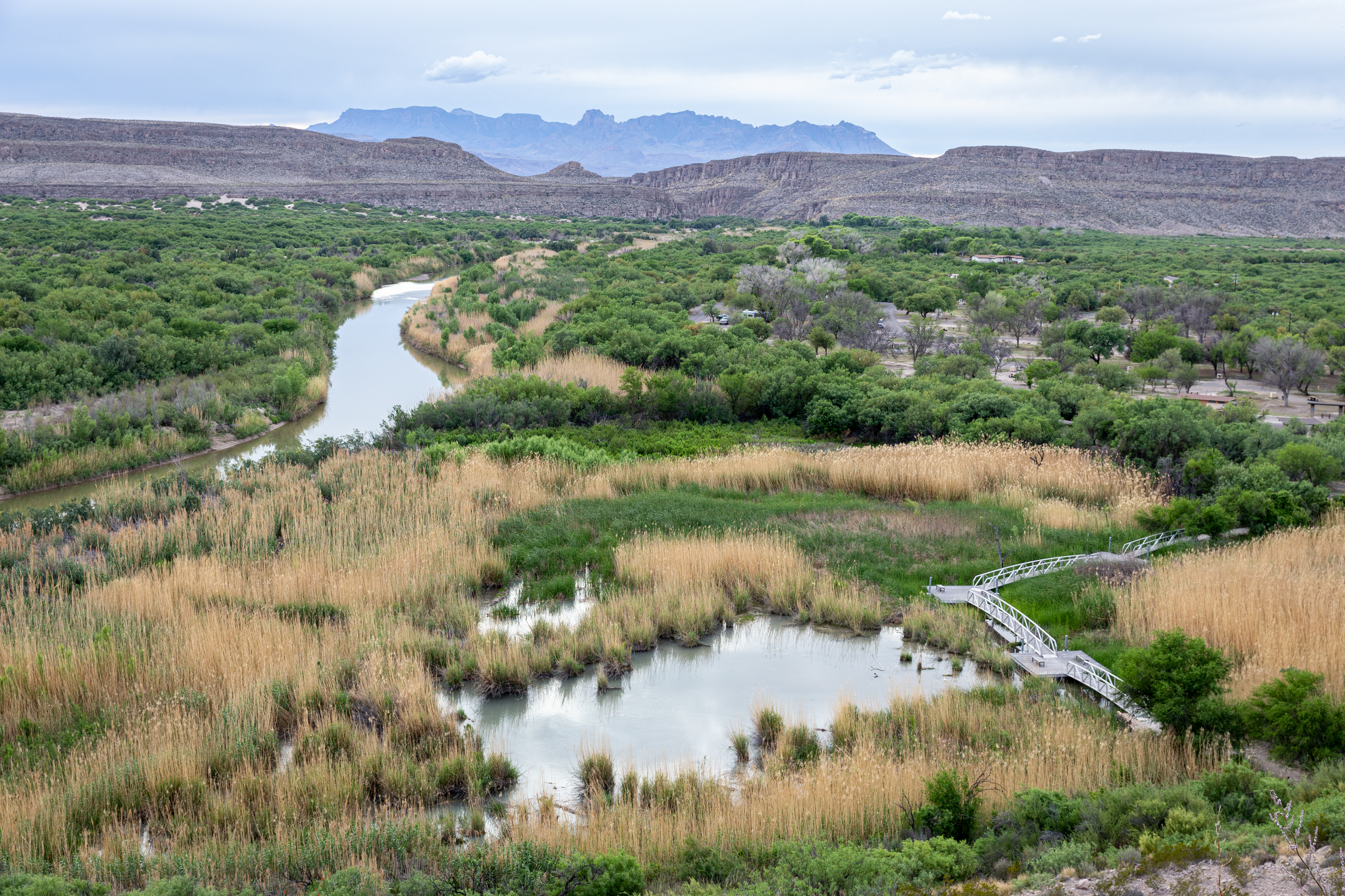 A metal boardwalk crosses a wetland area in the middle of the desert.
