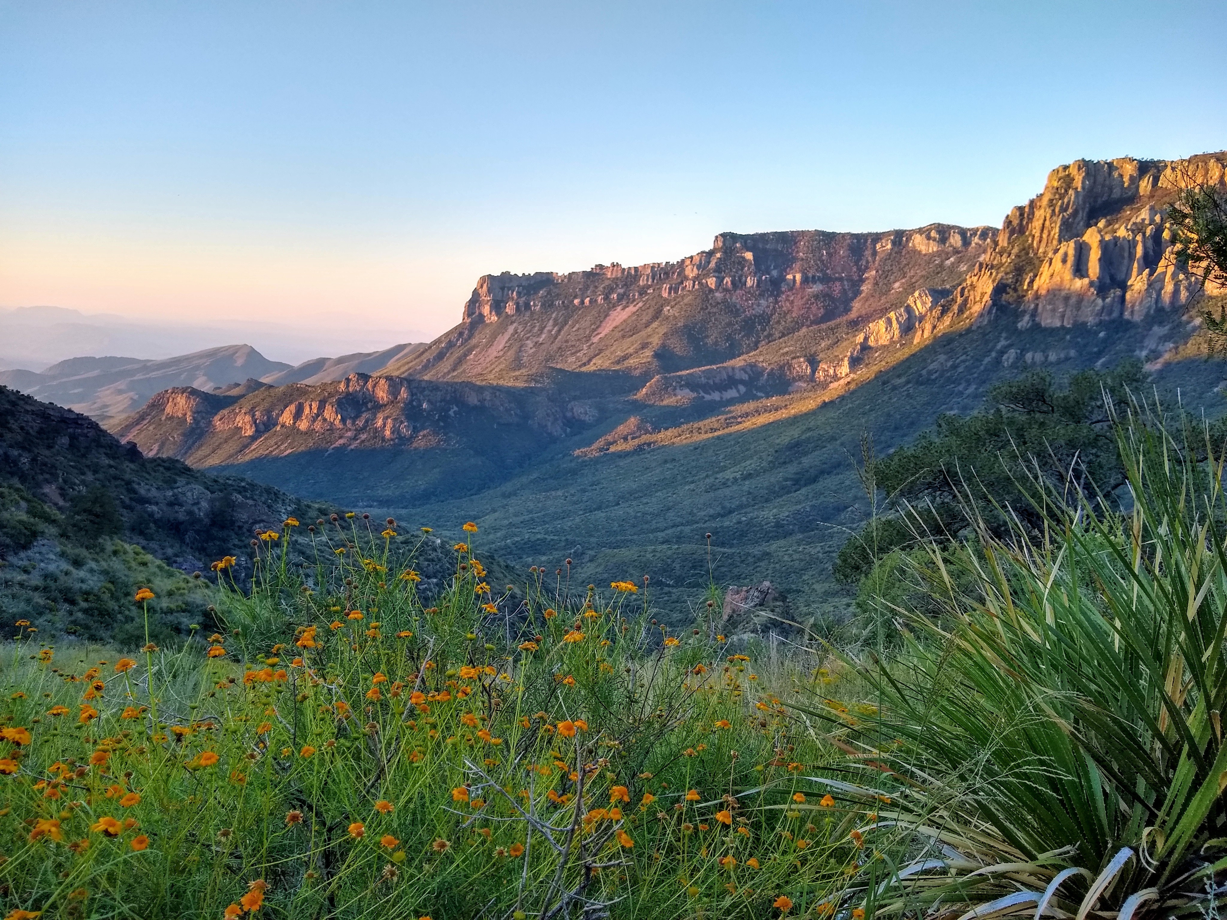 The rising sun highlights the rock walls of a wide canyon, with flowers in the foreground.