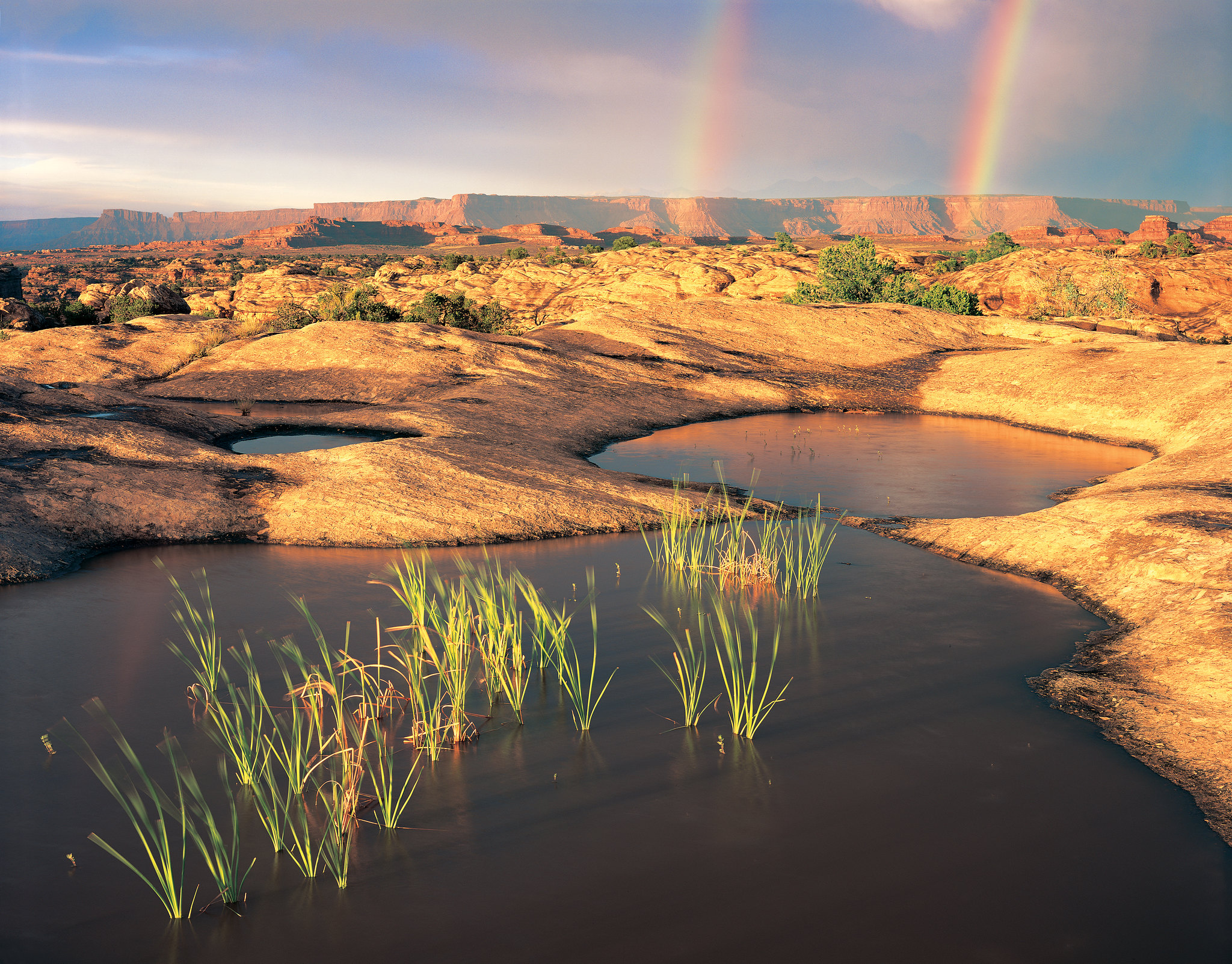A rainbow above water filled potholes along a sandstone mesa.