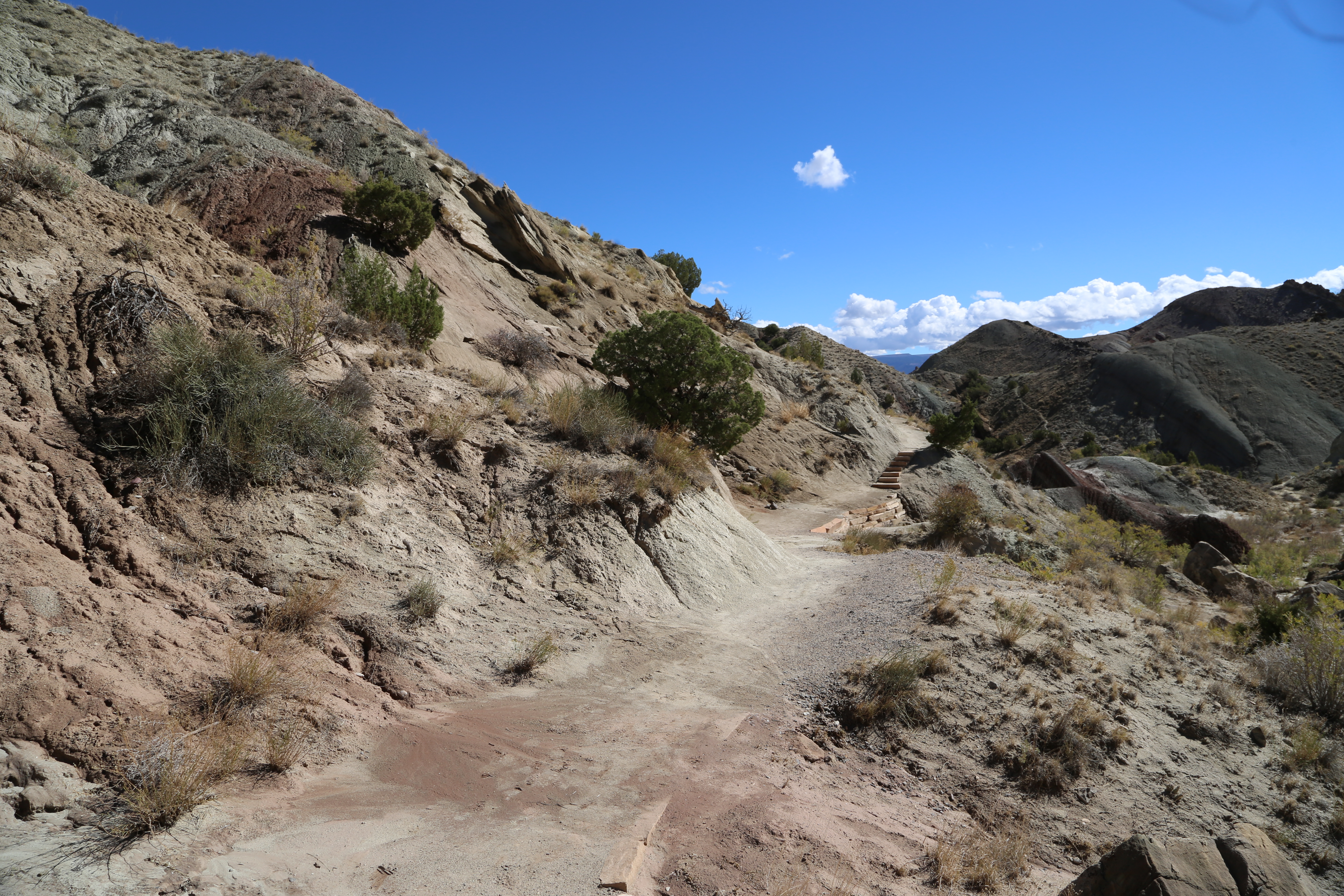 A sandy trail lined by stones winding through desert shrubs among rugged hills.