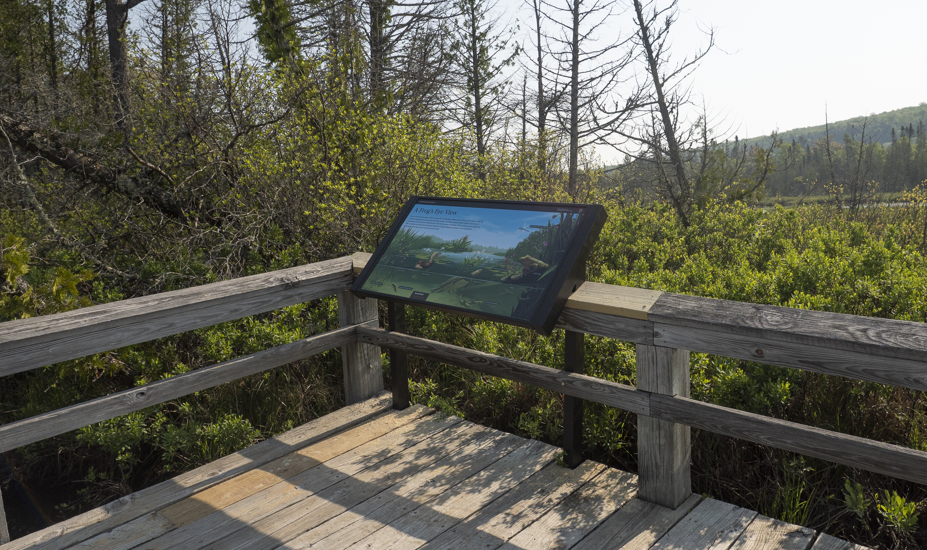 Marsh Trail Wayside Exhibit