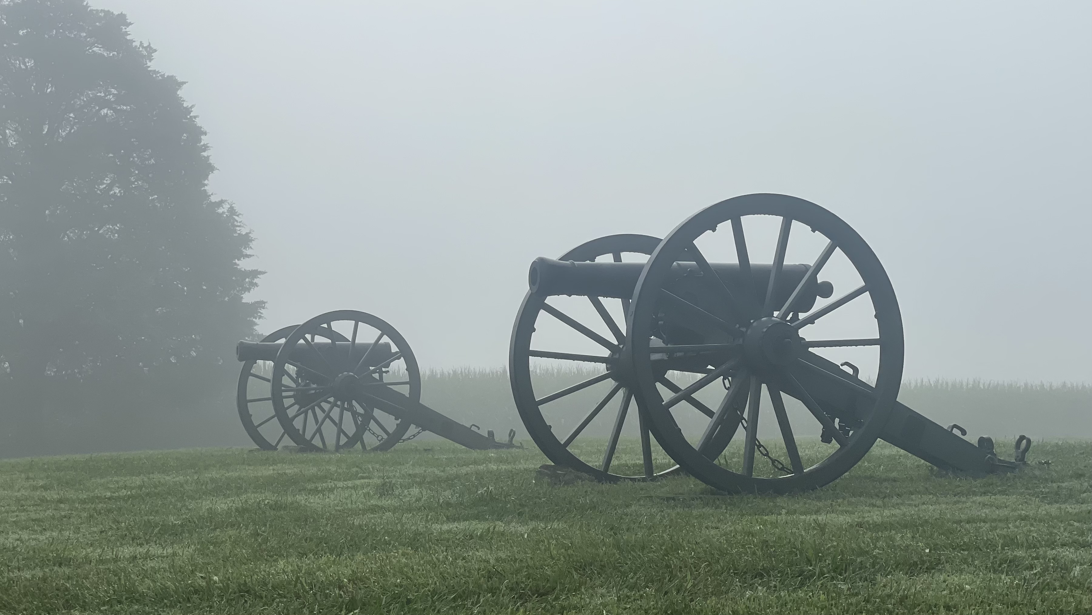 Two cannons shrouded in fog with green grass and tall tree on the left side.