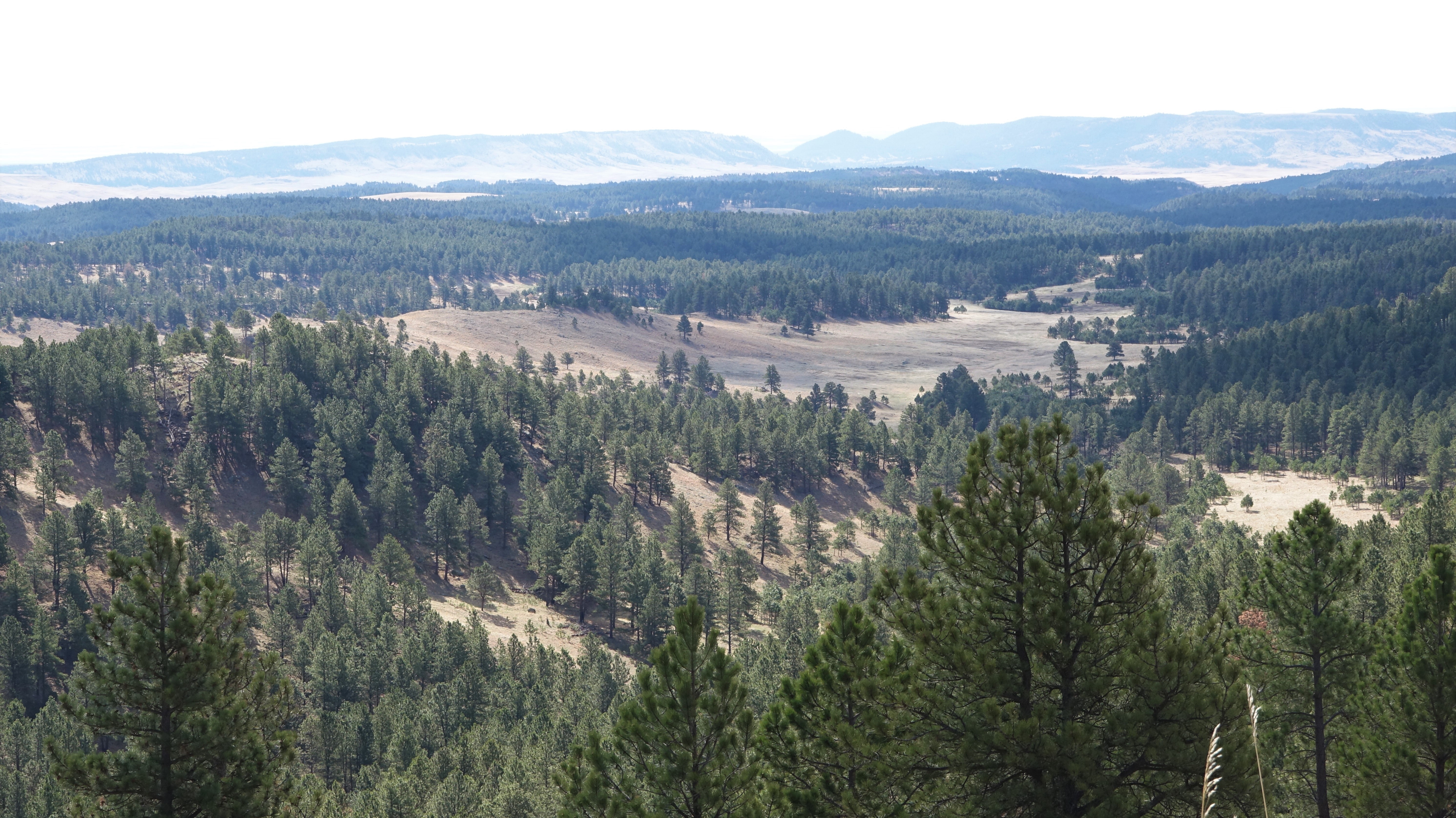 View from Rankin Ridge Nature Hike