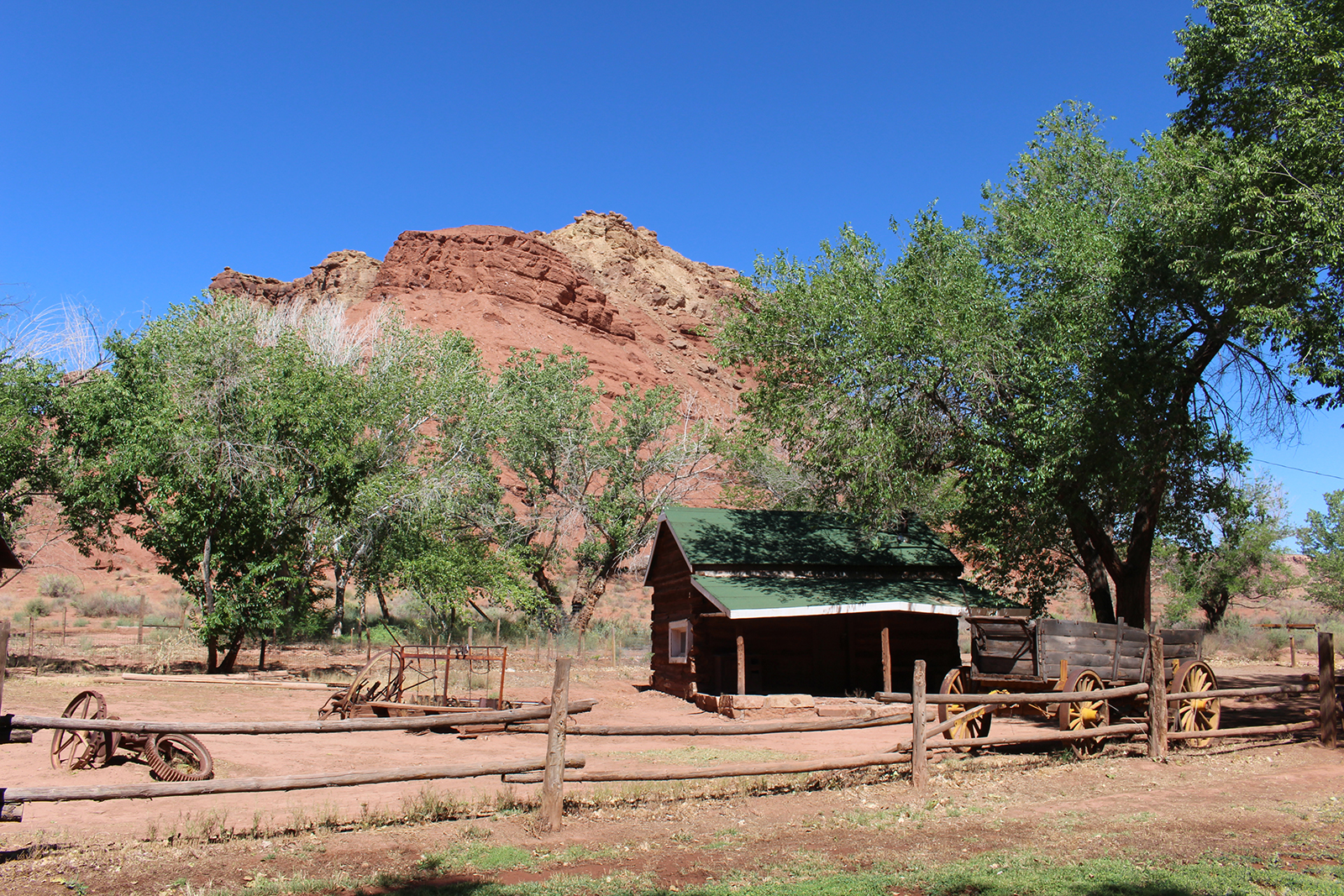 Single story, one room wood cabin sits in the shade of a tree at Lonely Dell Ranch.