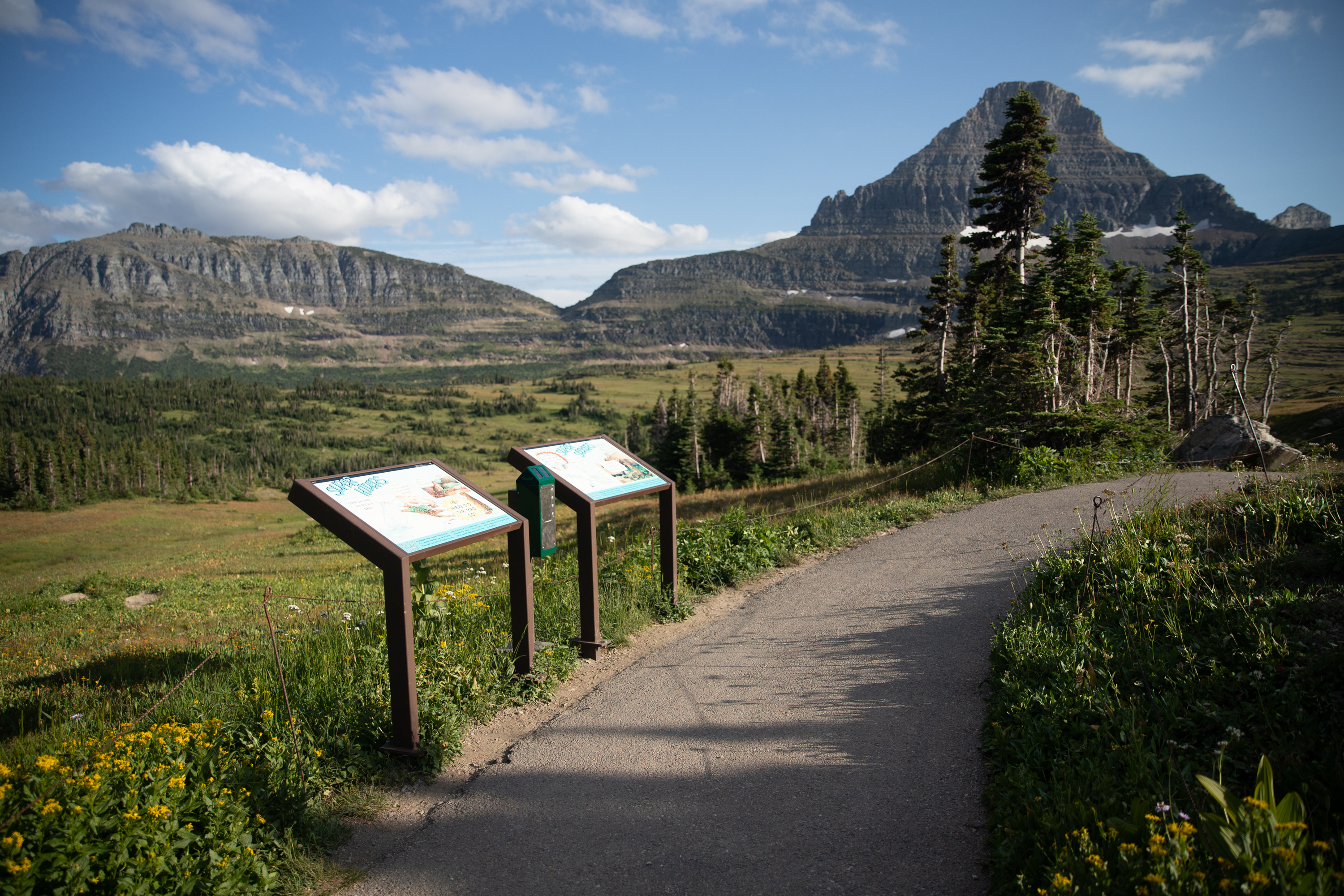 Two wayside exhibits stand next to a trail. It is a sunny day in the subalpine meadow.