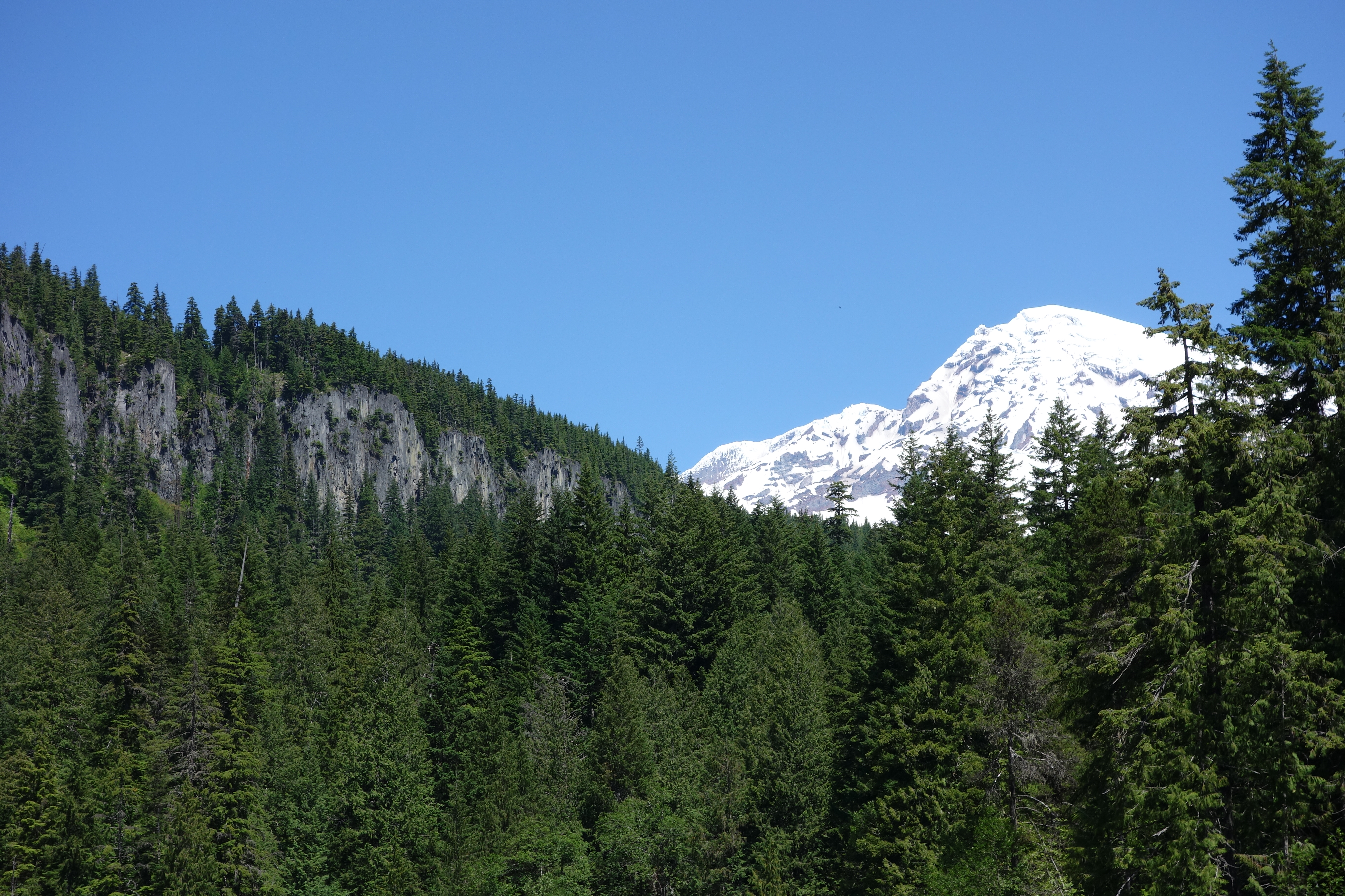 A glaciated mountain peak above a forested ridge with steep cliffs.