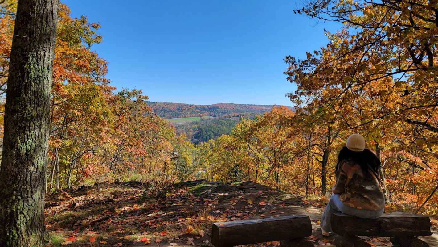 overlook with two wooden benches during peak fall foliage