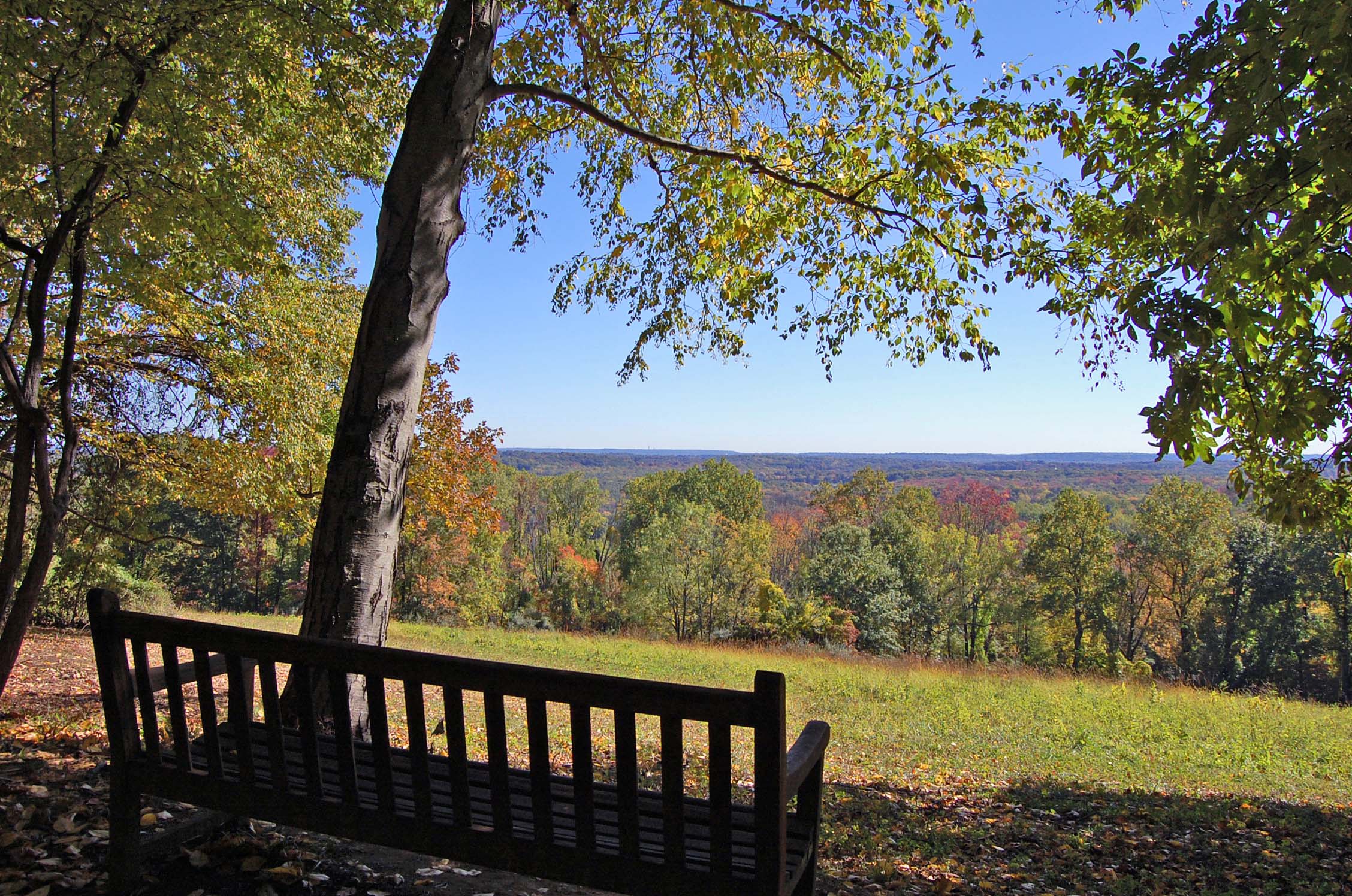 A park bench faces away over a cleared hillside looking toward a horizon covered by trees.