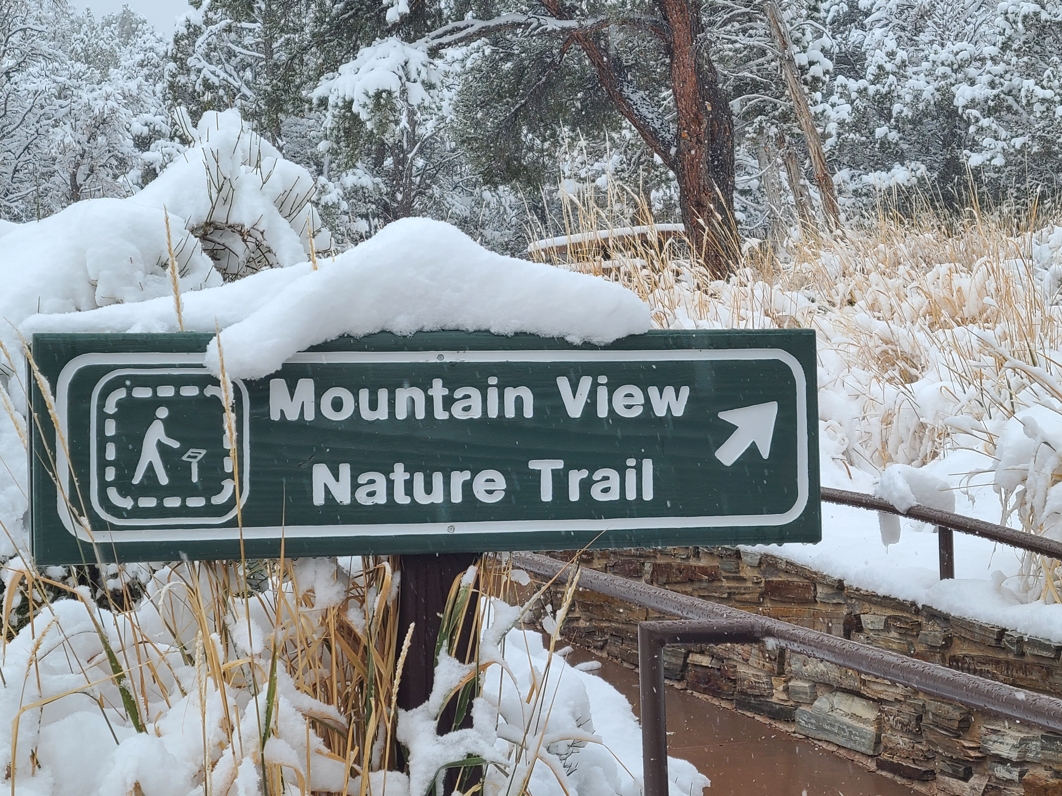 A green, snow topped sign reads "Mountain View Nature Trail" with a white arrow pointing right.