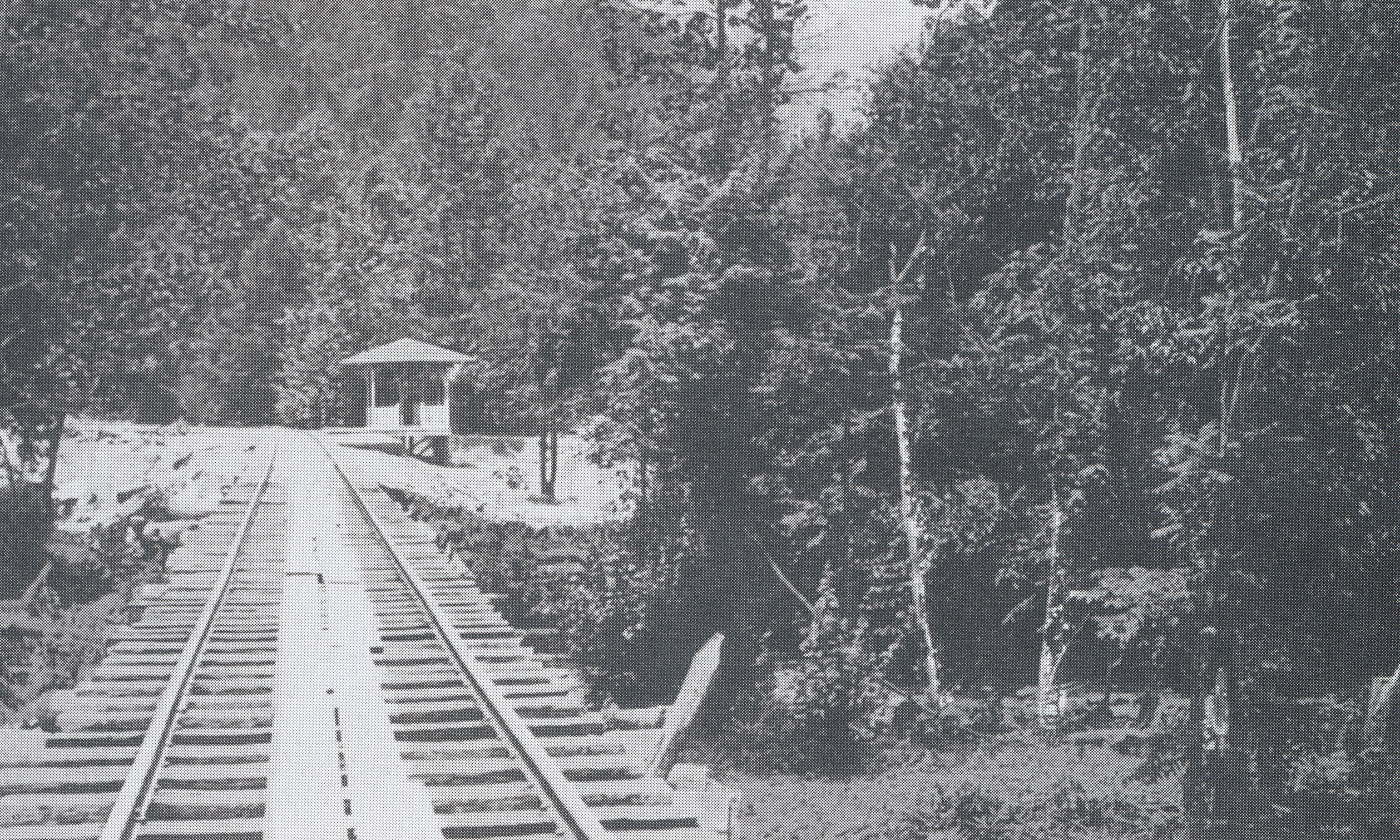 Black and white image of the historic railroad near the historic district of Elkmont.