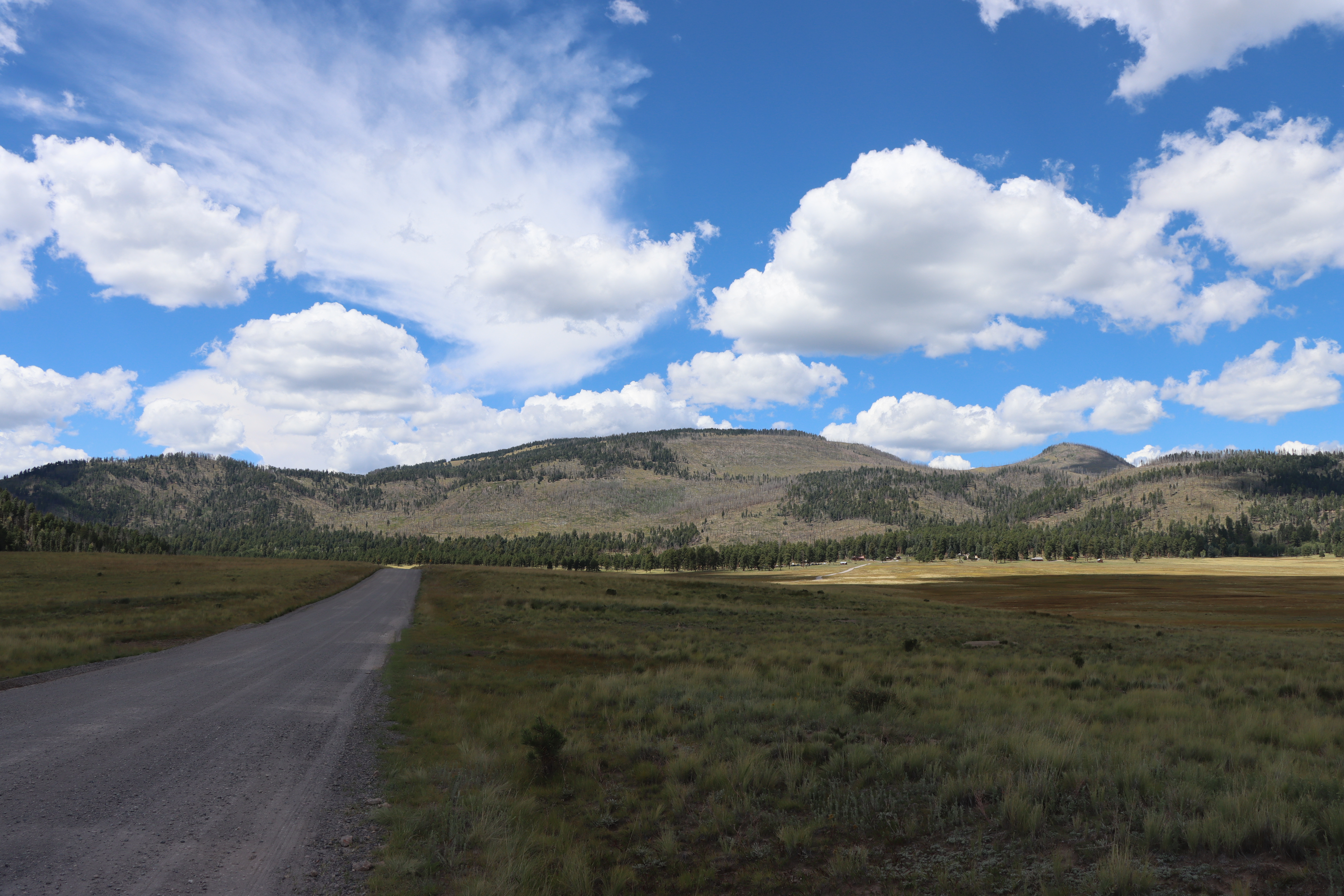 A gravel road through a montane grassland leads to a round, forested mountain.
