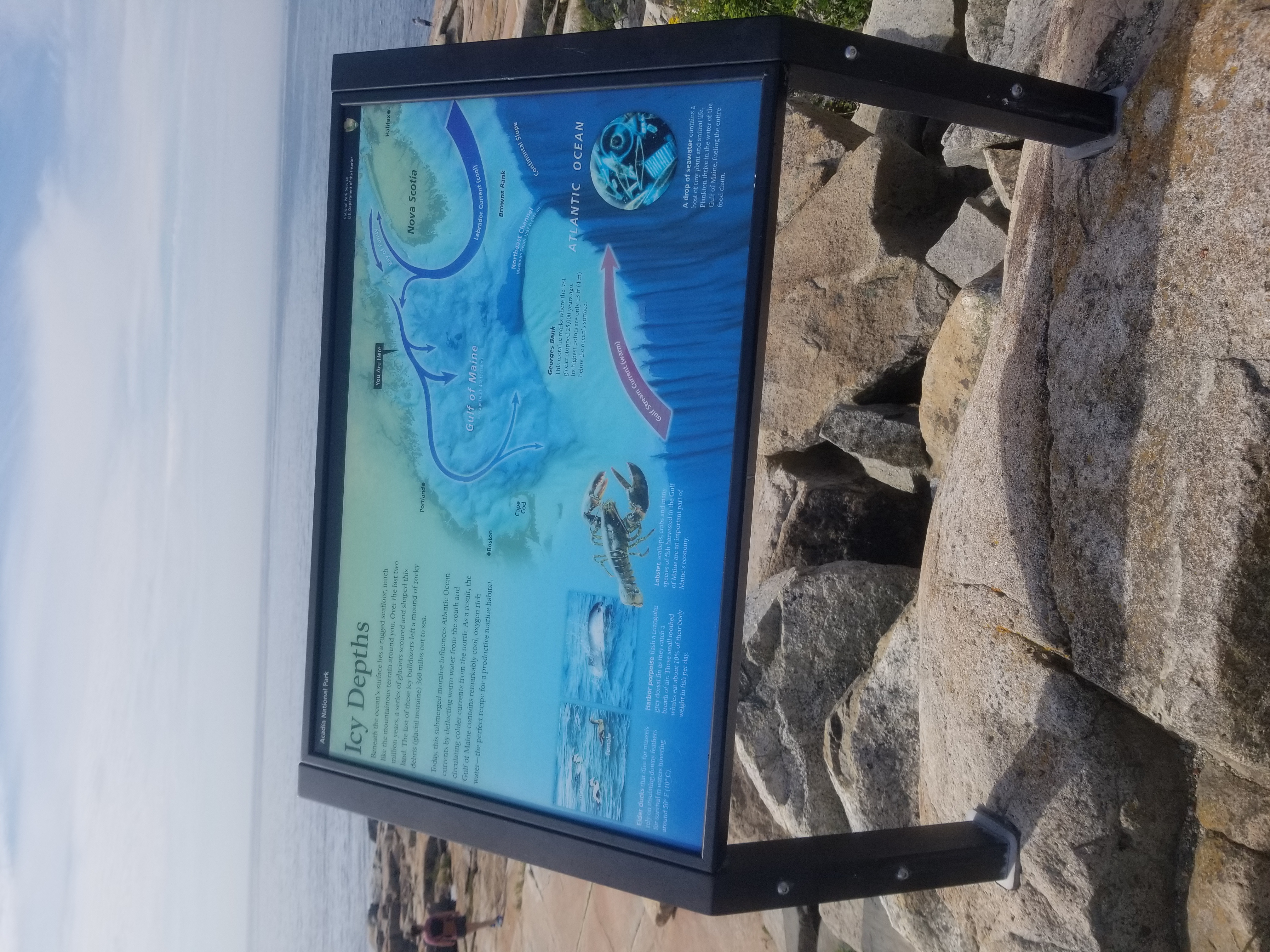Image of a wayside panel stand in front of an ocean.