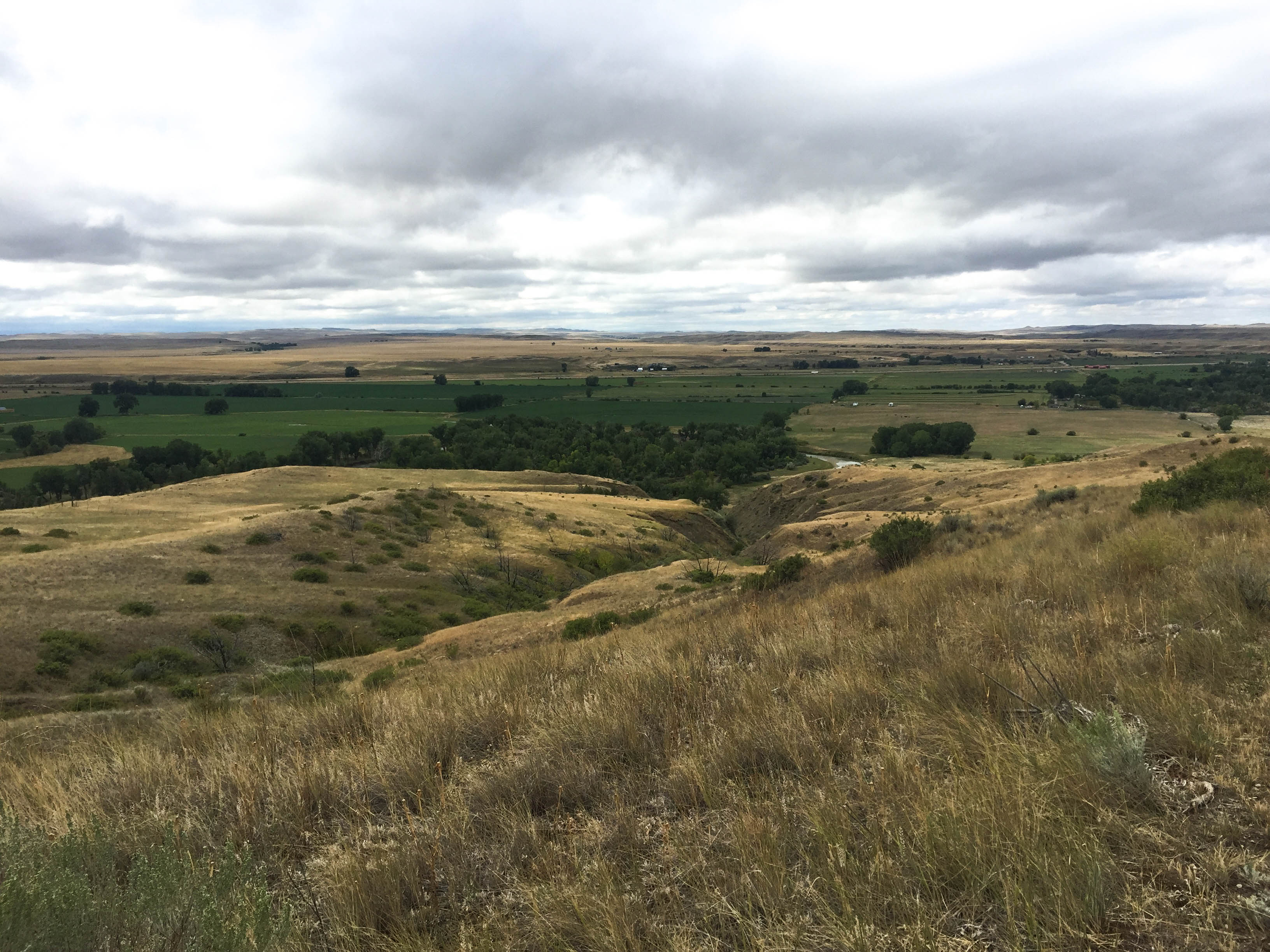 Grassy hills and fields with clouds overhead.