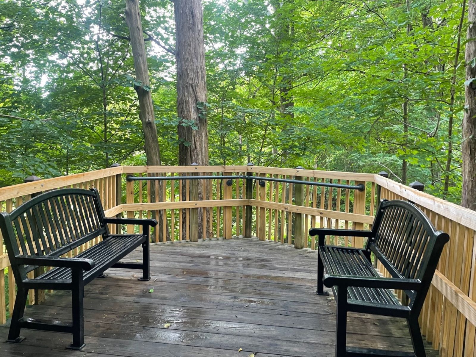 landing - two benches - trees