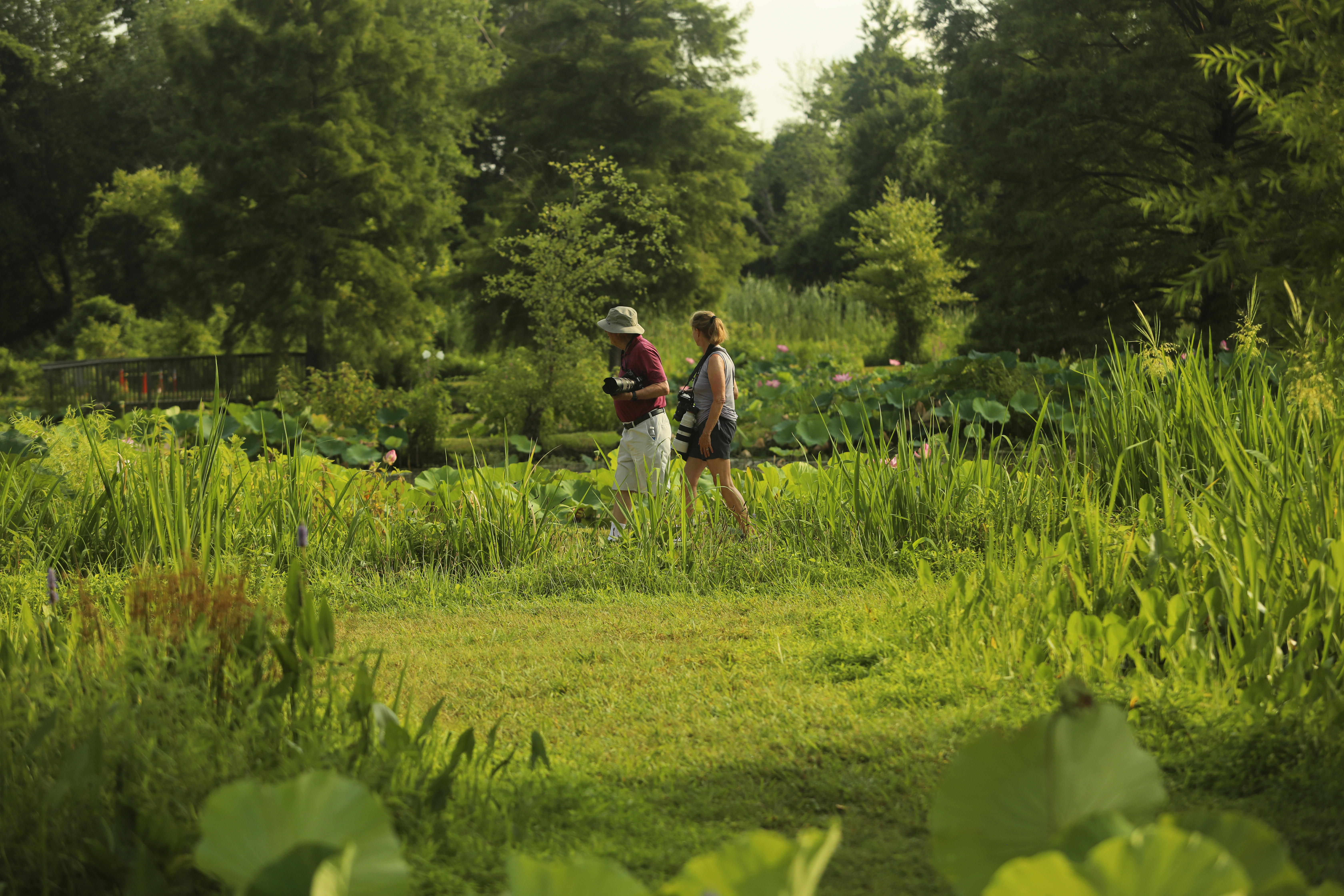 Two people walk through the marshes