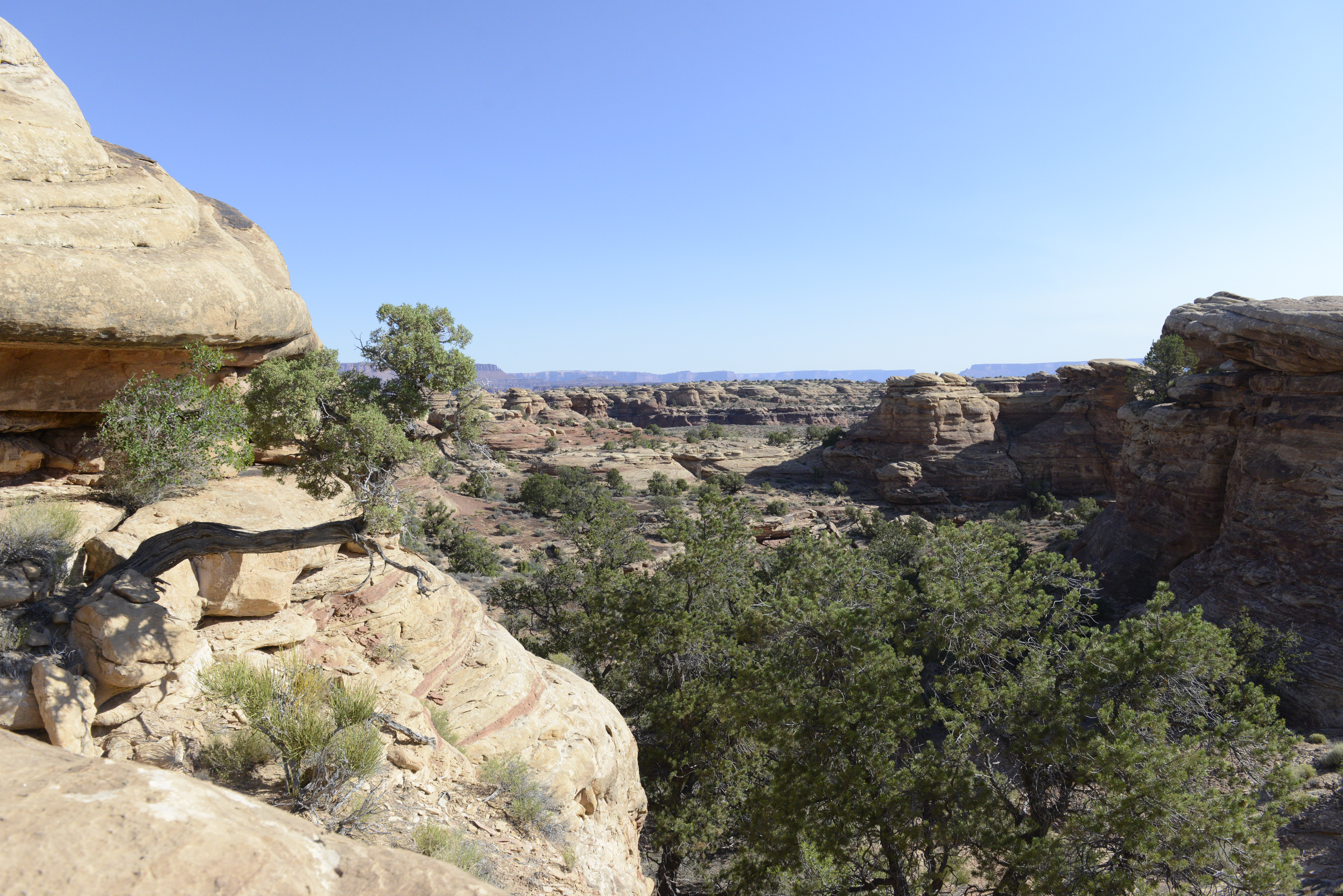 A photograph a rolling and colorful geologic landscape with scattered vegetation.