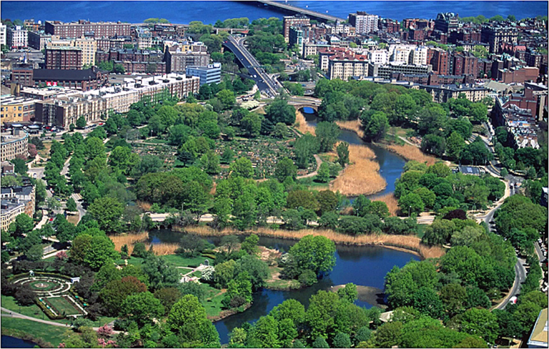 aerial view of green space cutting through buildings of city