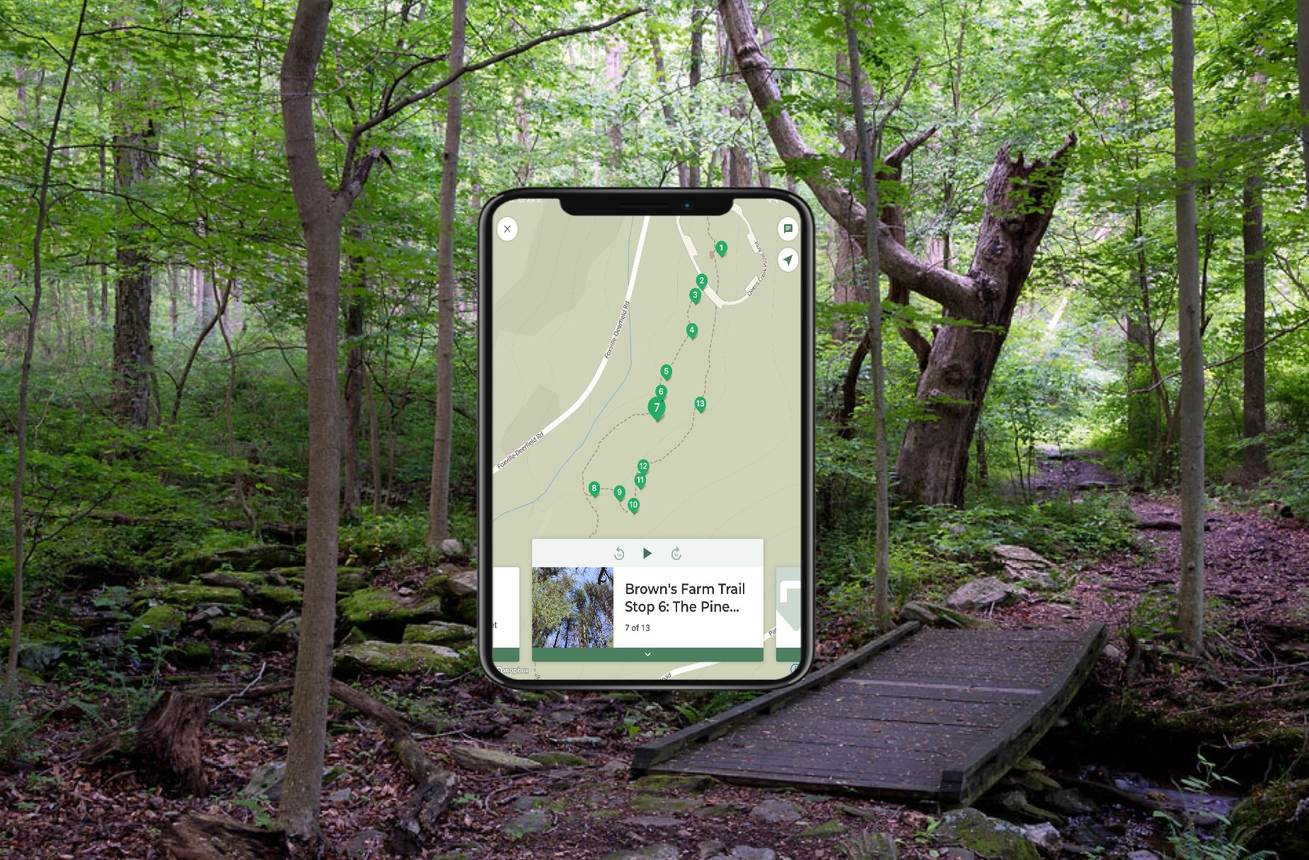 A small wooden bridge crossing a stream through a green forest with a phone overlain on the image.