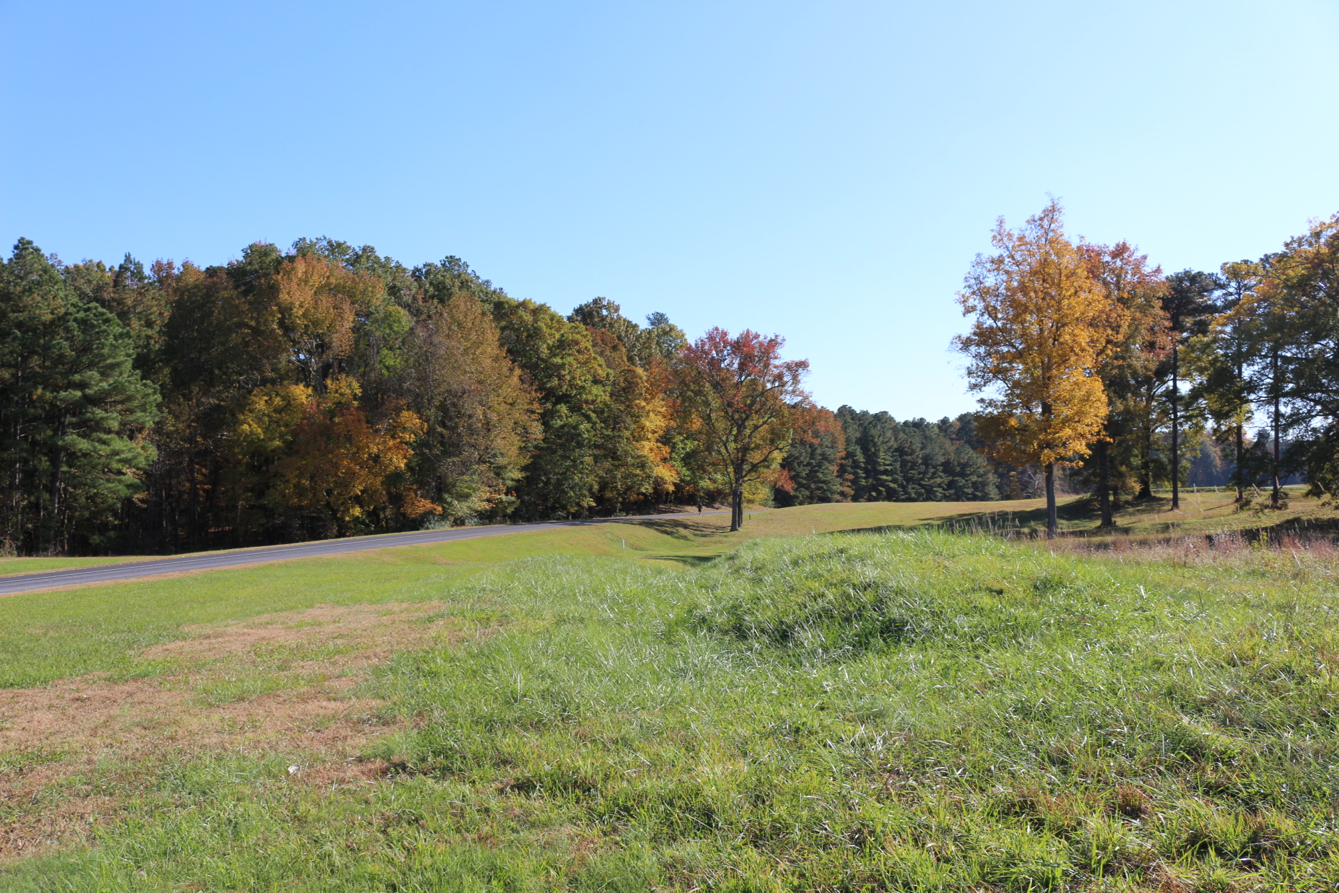 A paved road cuts through a green grass field, with a few trees with yellow leaves, the rest green.