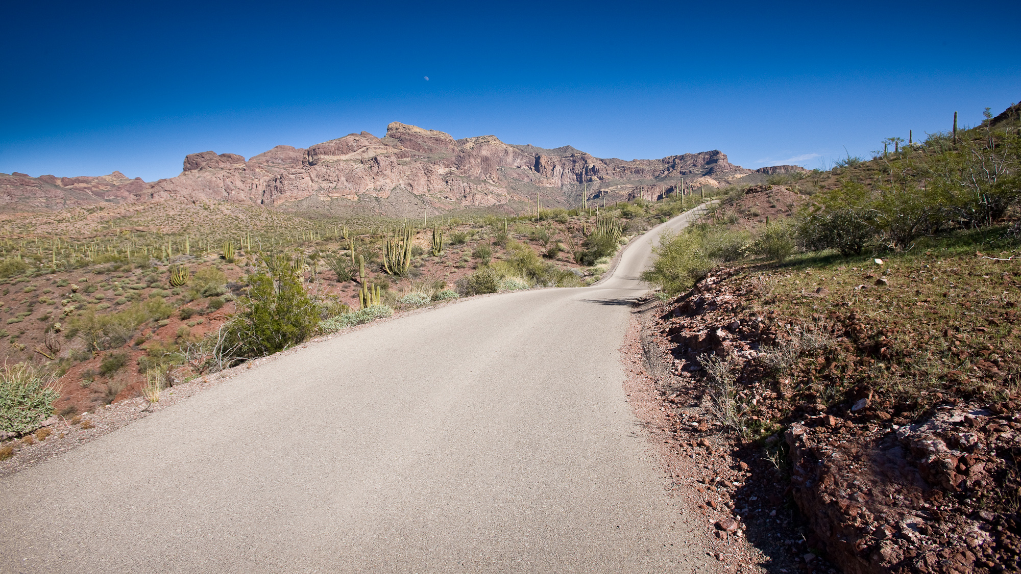 Dirt road cuts across desert landscape, with Ajo mountains in the background.