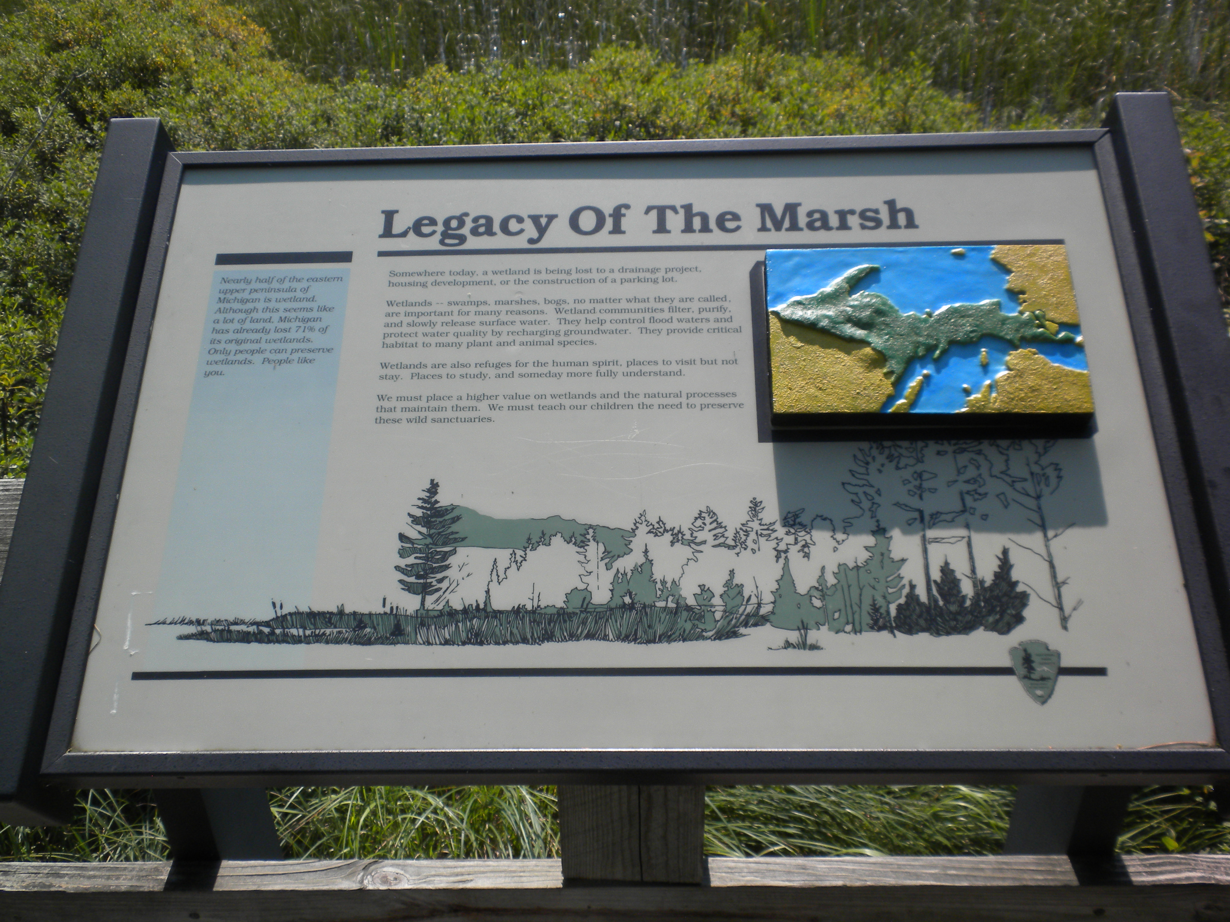 Photo shows wayside exhibit of the marsh