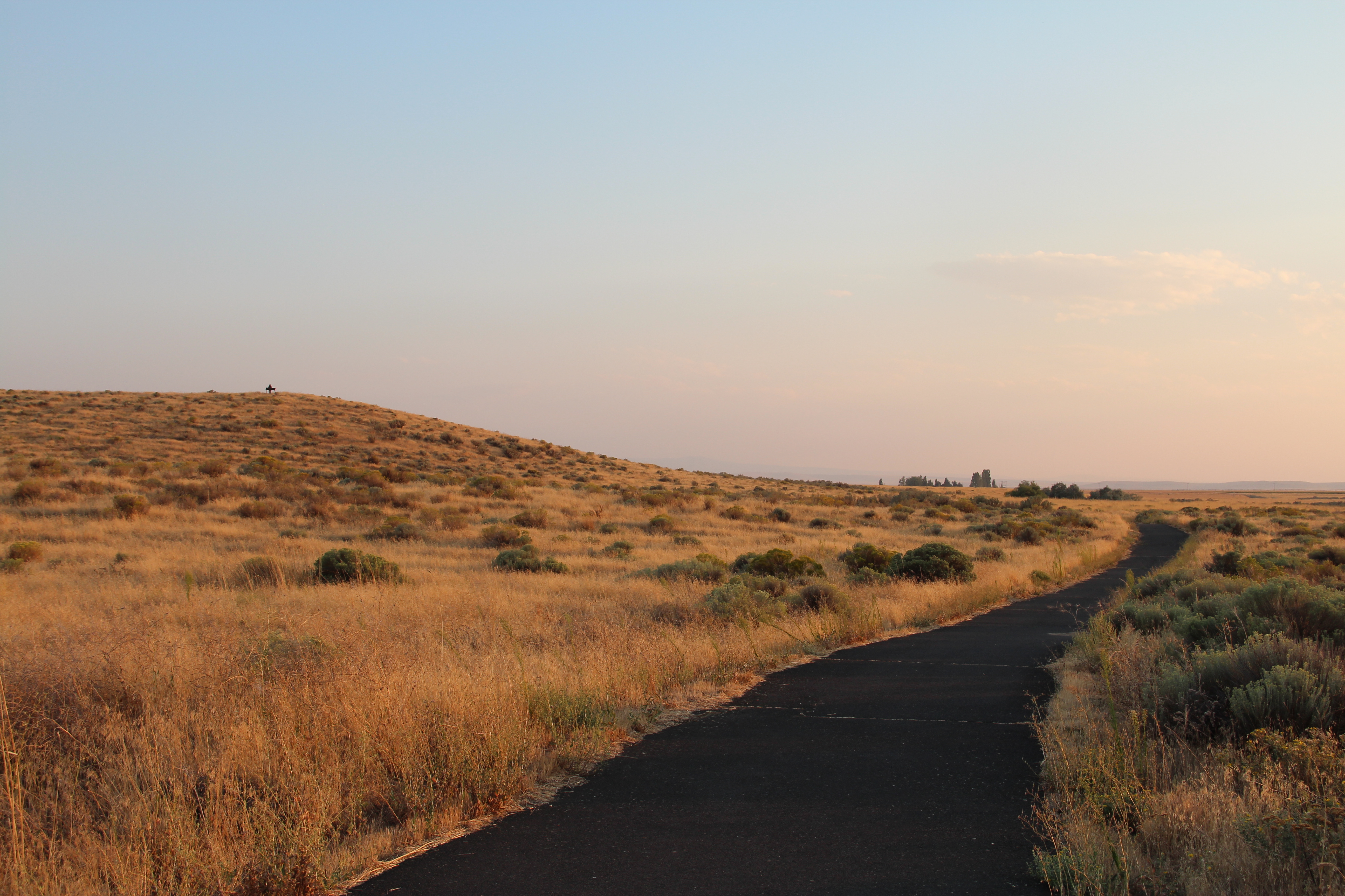 A trail winds through a grass-covered area with slight hills.