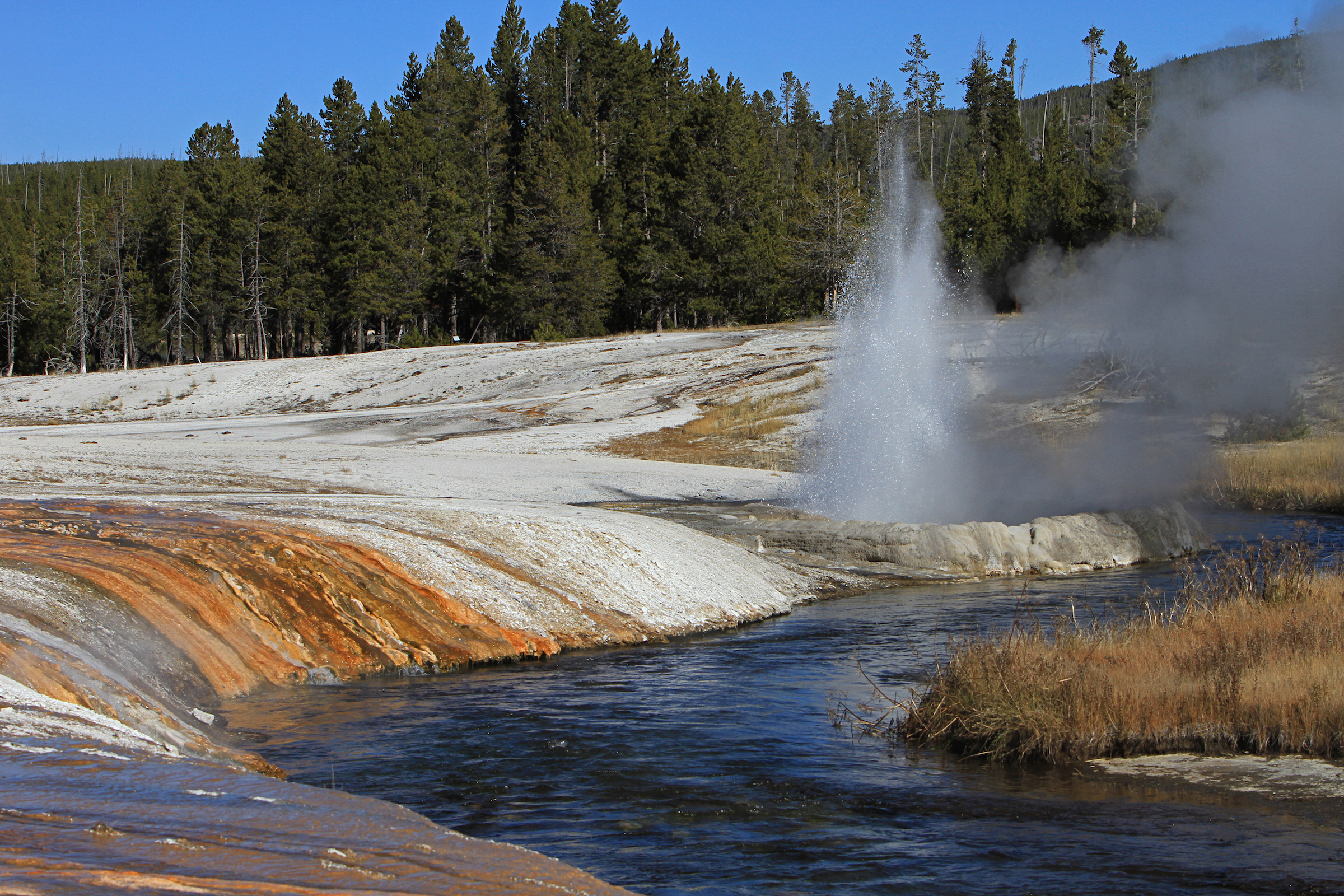 Steam and water erupt out of a rimmed crater at the edge of a small creek.