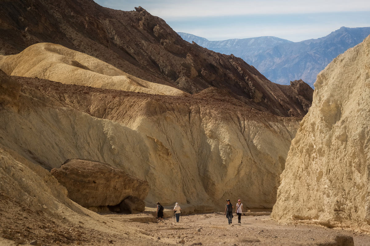 Four people walk up a rocky wash between yellow and tan canyon walls.