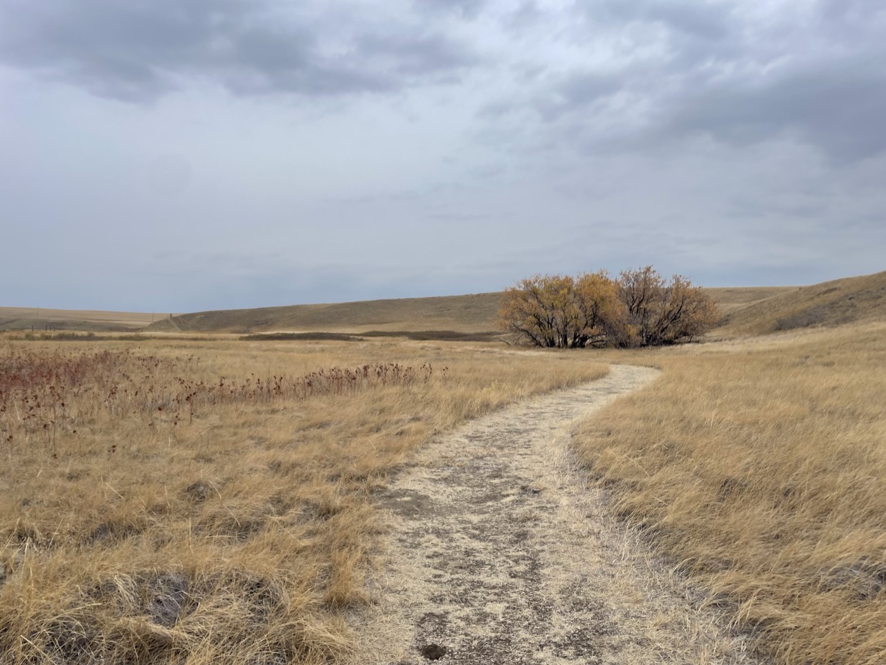 A trail winding through short, dry, yellow grass. At the horizon shows big gray skies.