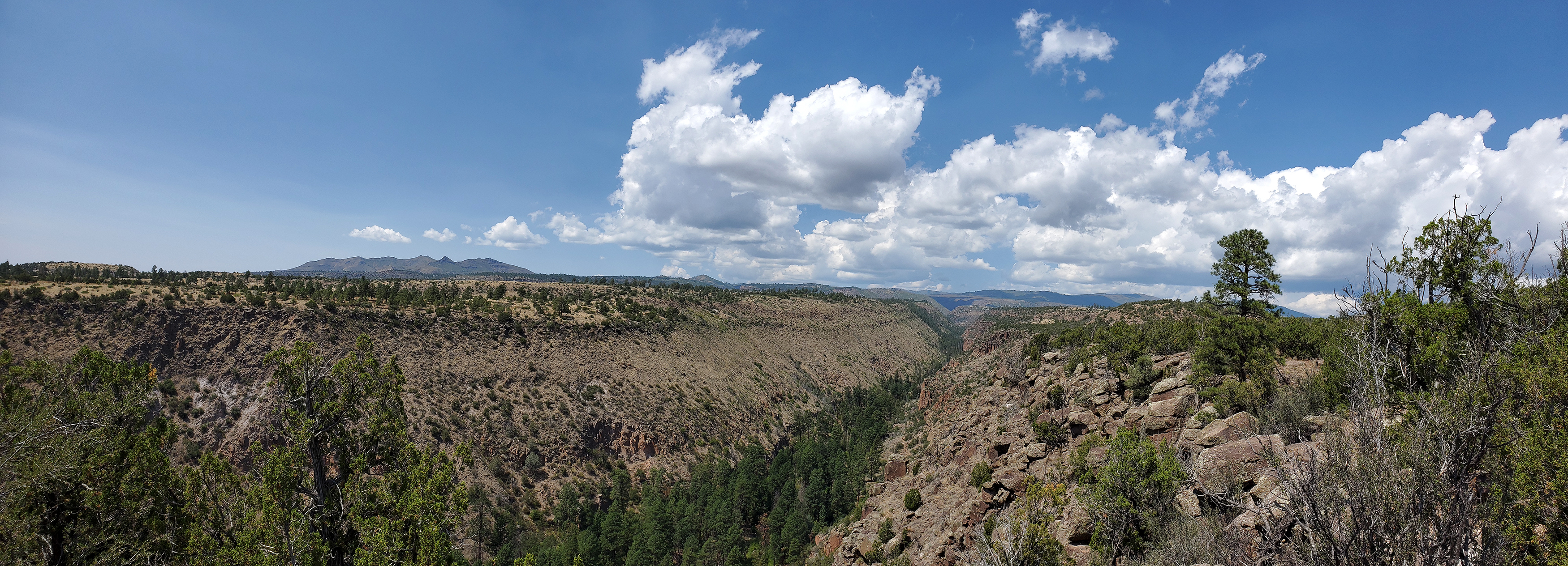 a narrow canyon in beige rocks with hints of green vegetation and a partly cloudy sky