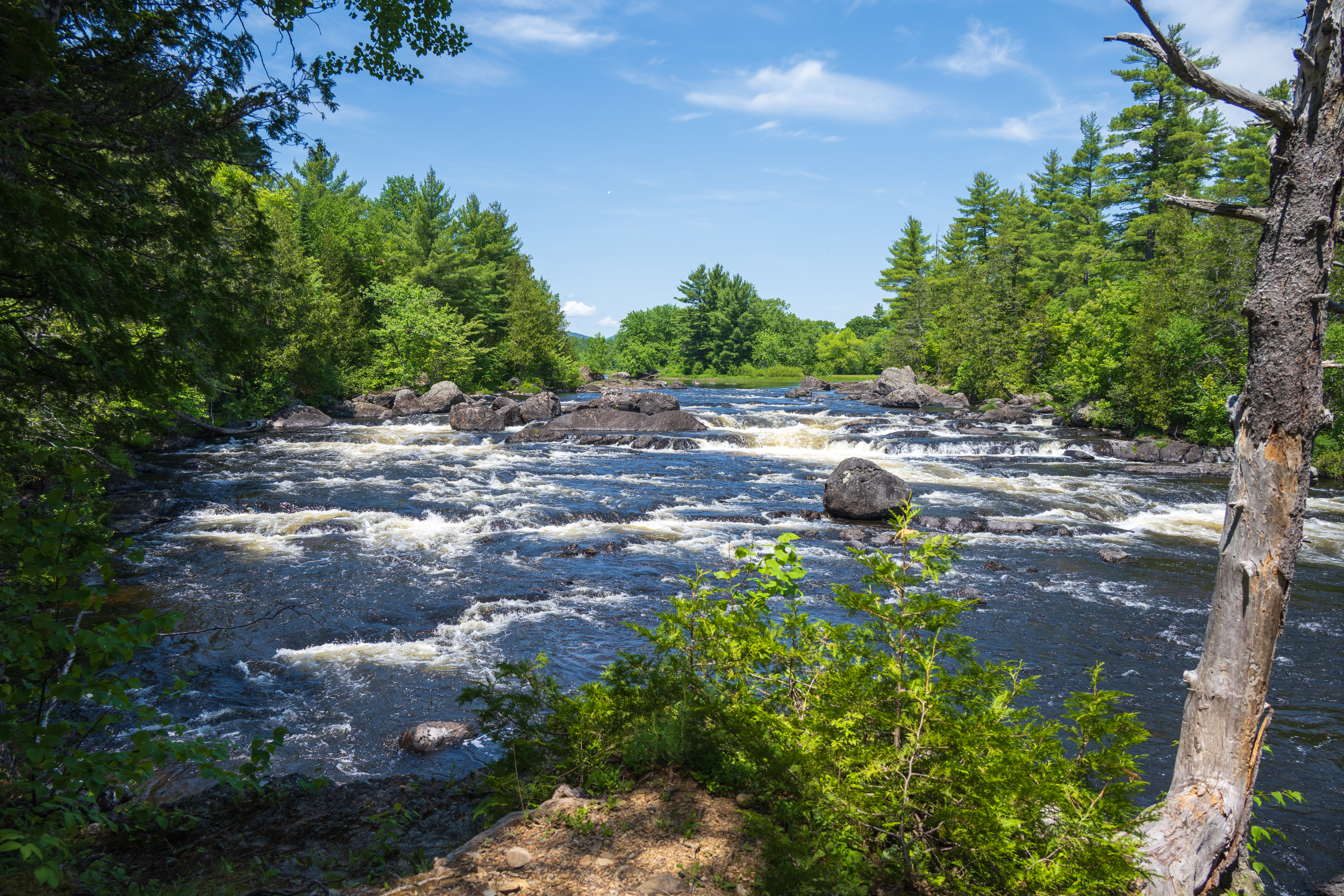 Haskell Rock Pitch viewpoint (a series of rapids in the East Branch of the Penobscot) on a sunny day