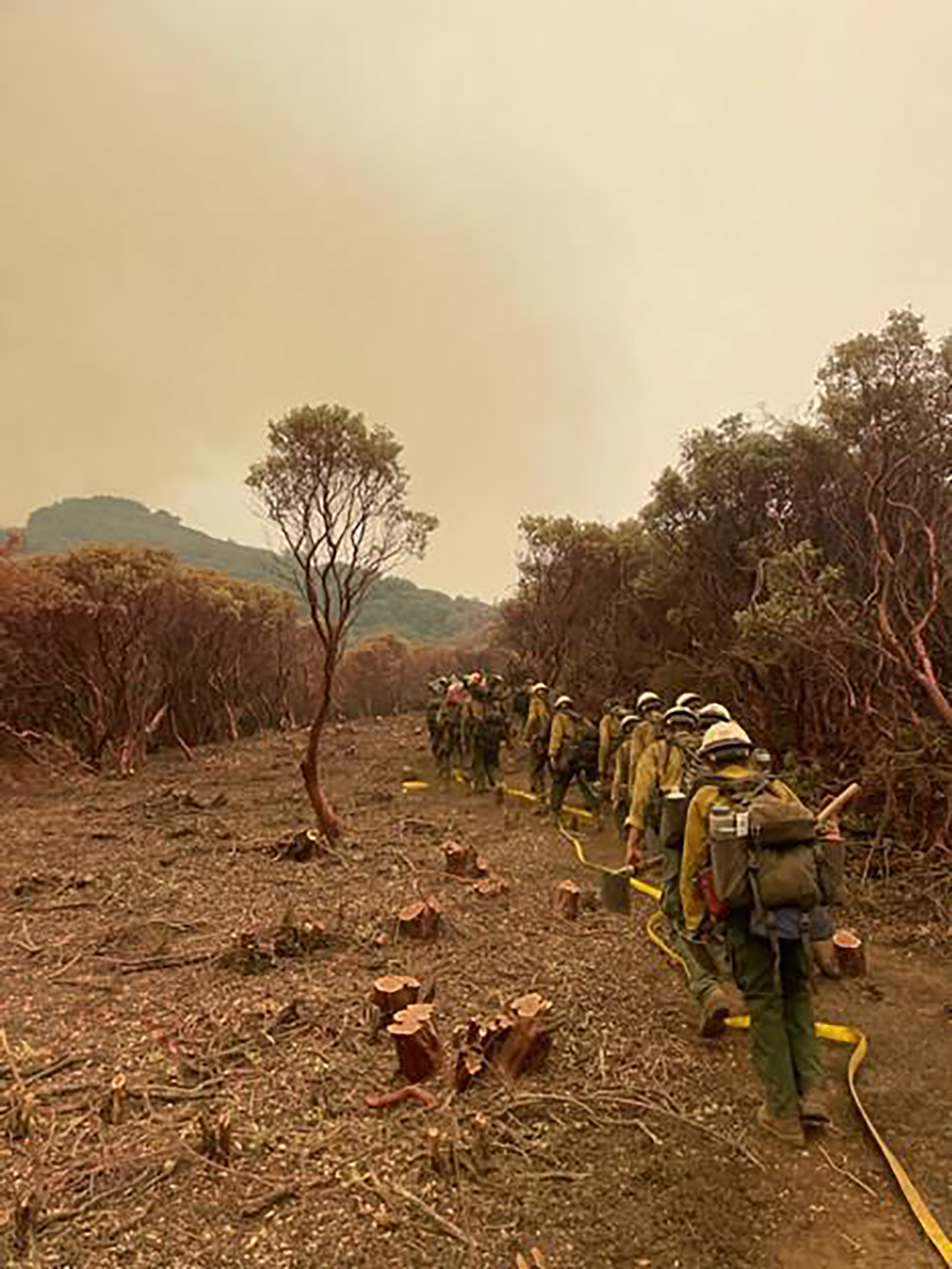 Firefighters hike along a newly cut fireline in the parks.