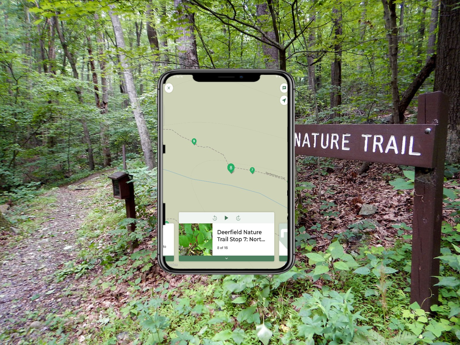 A mobile device with a map superimposed on a forested trailhead.