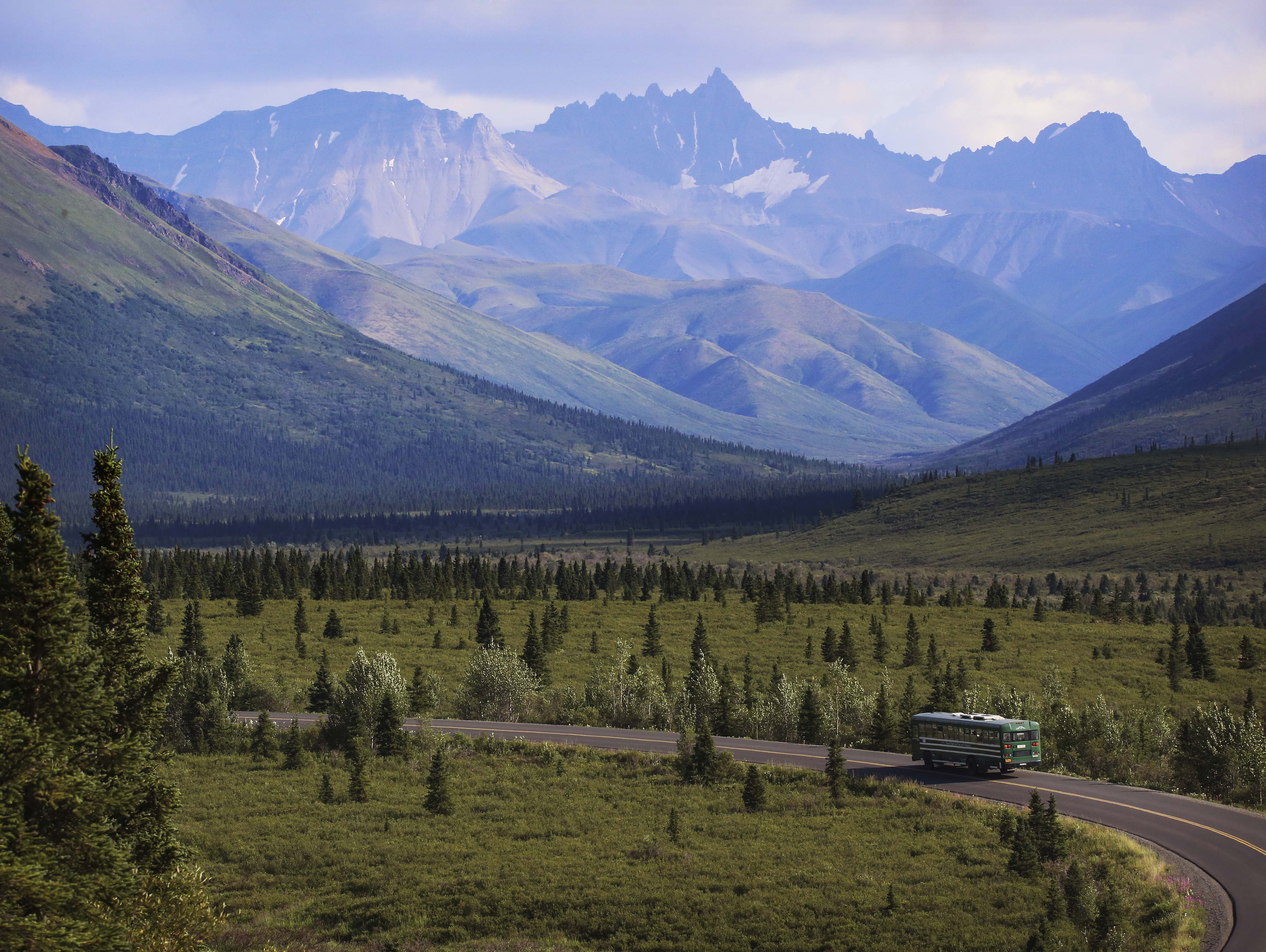 a narrow paved road winding through sparse forest in front of a mountainous backdrop