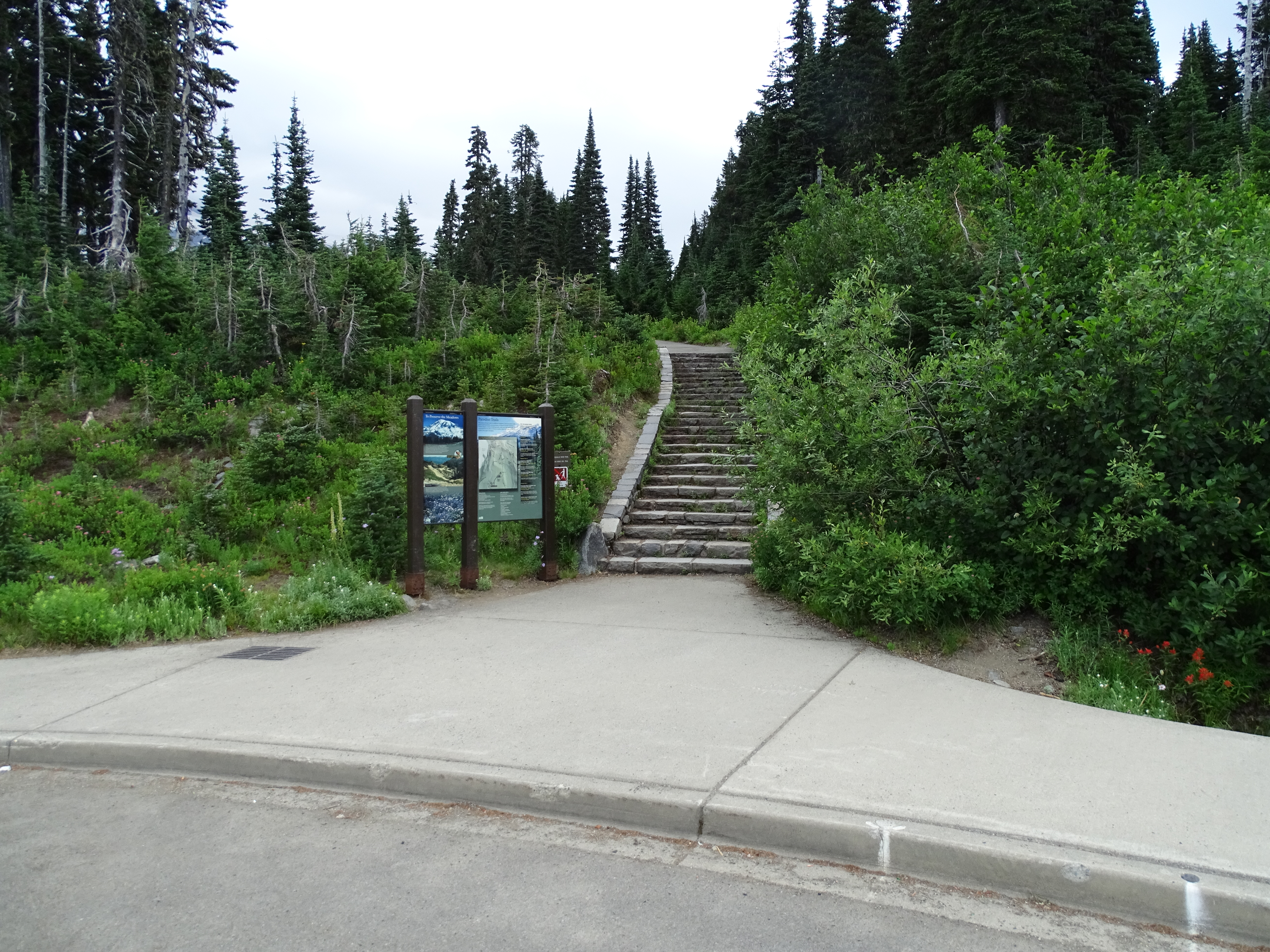 Nisqually Vista Nature Trail begins with a short flight of stairs and an informational sign.