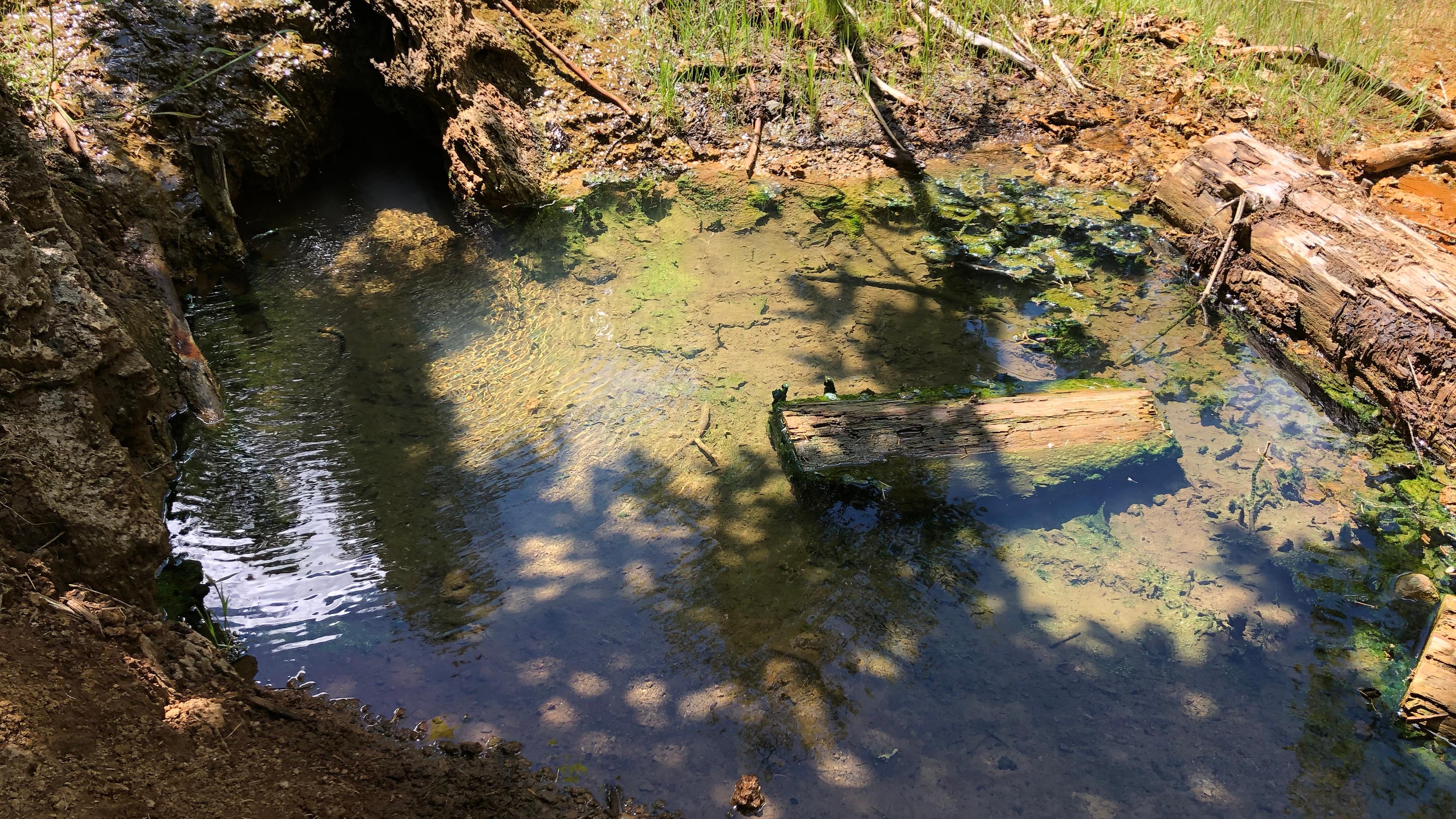 Water forms in a small muddy pool.