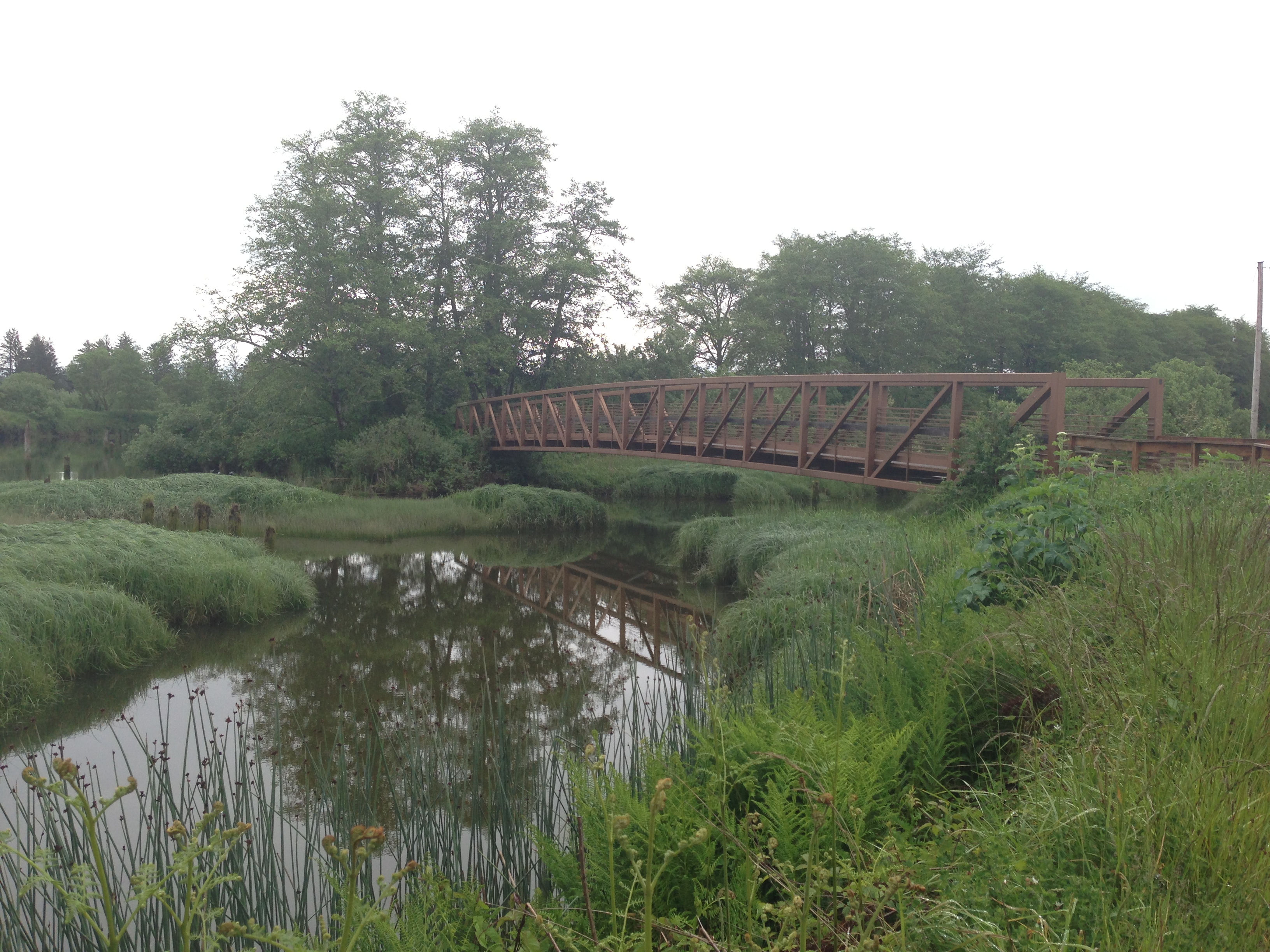 A long brown metal bridge extends over a still creek, the reflection of the bridge on the water.