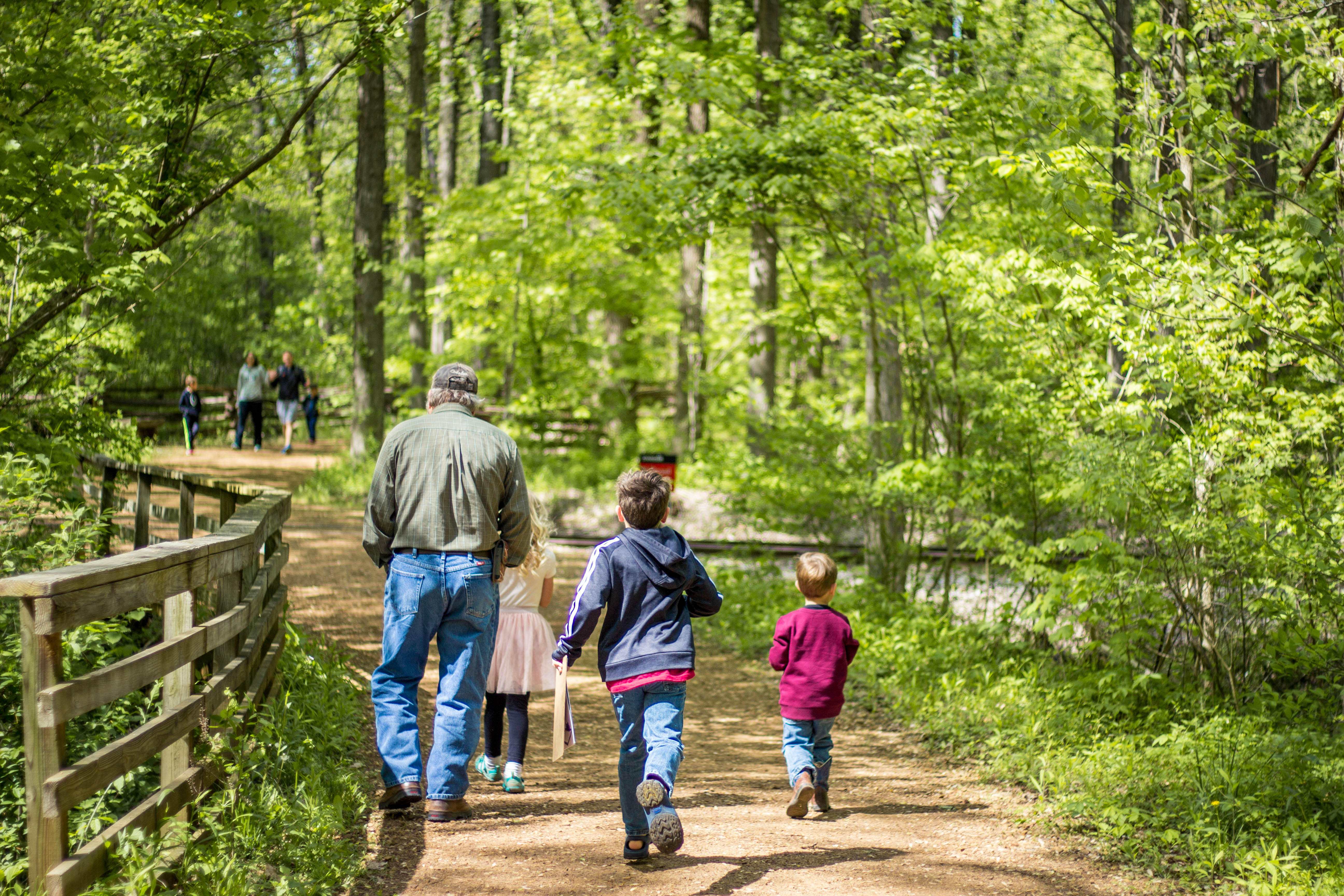 Man with three kids walking a tree lined trail. Family in background walking toward them.