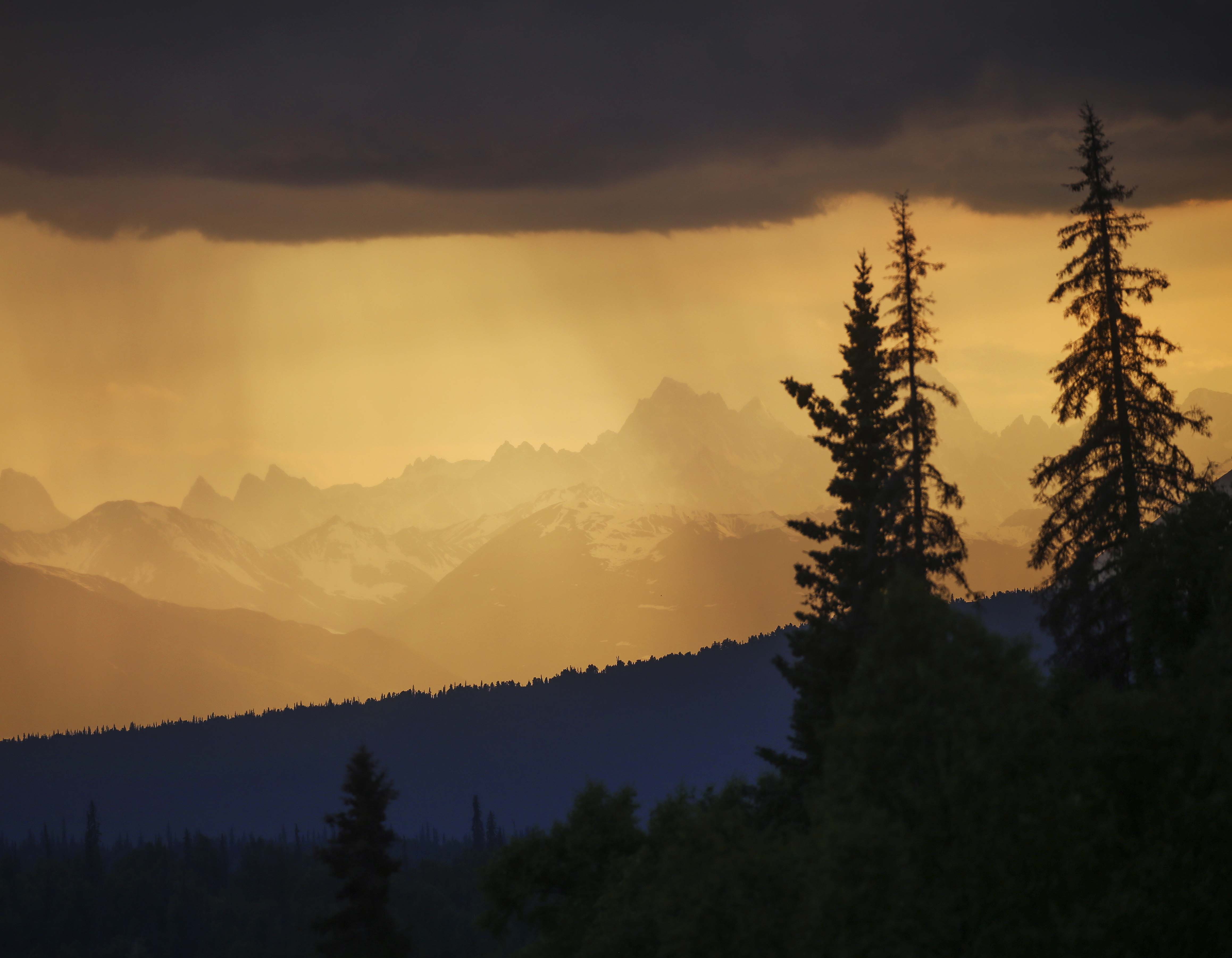 a dark forested landscape under heavy clouds