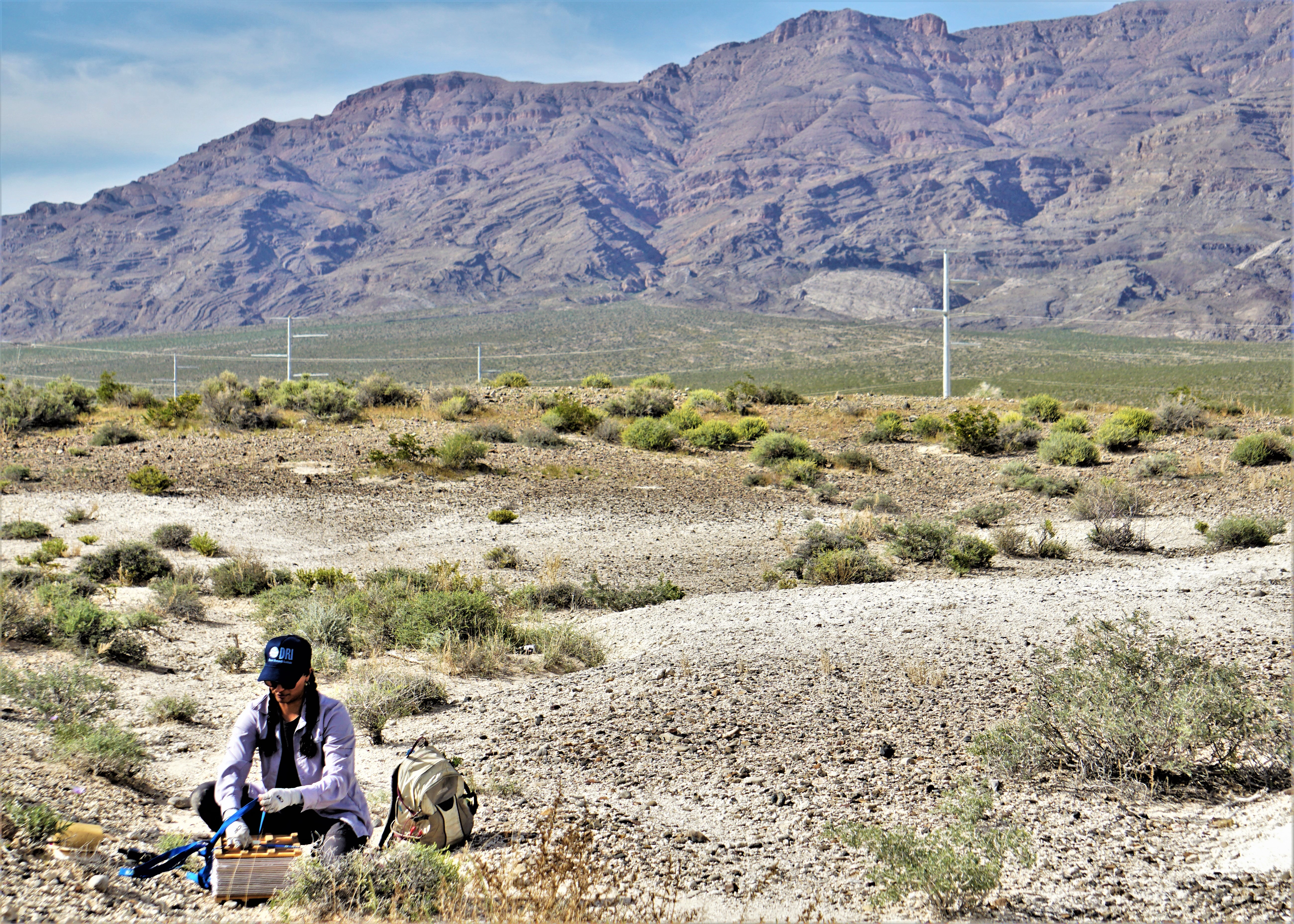 A woman places a plant into a plant press in a desert landscape surrounded by rugged mountains