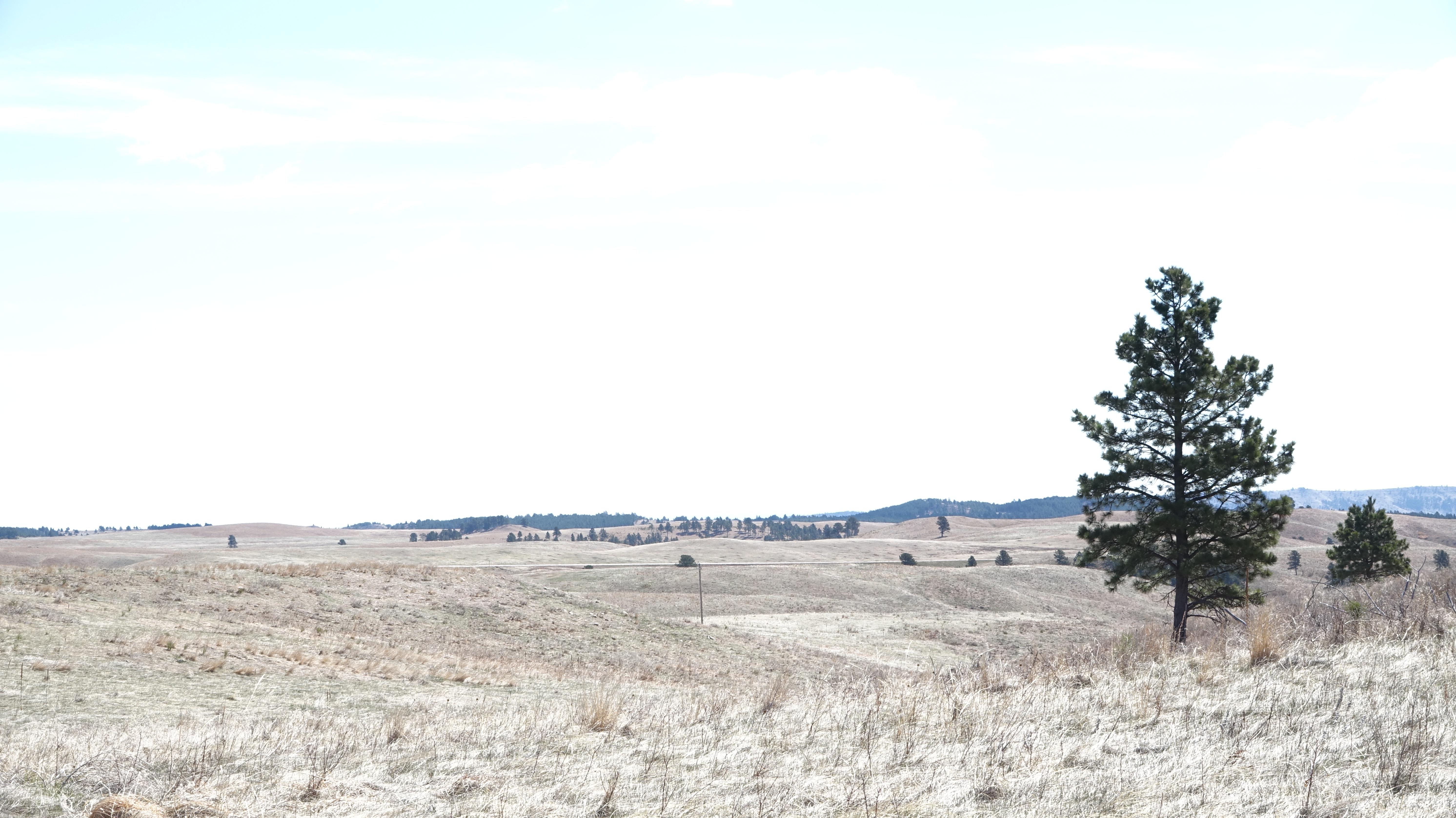 Elk Mountain Nature Trail at Wind Cave National Park
