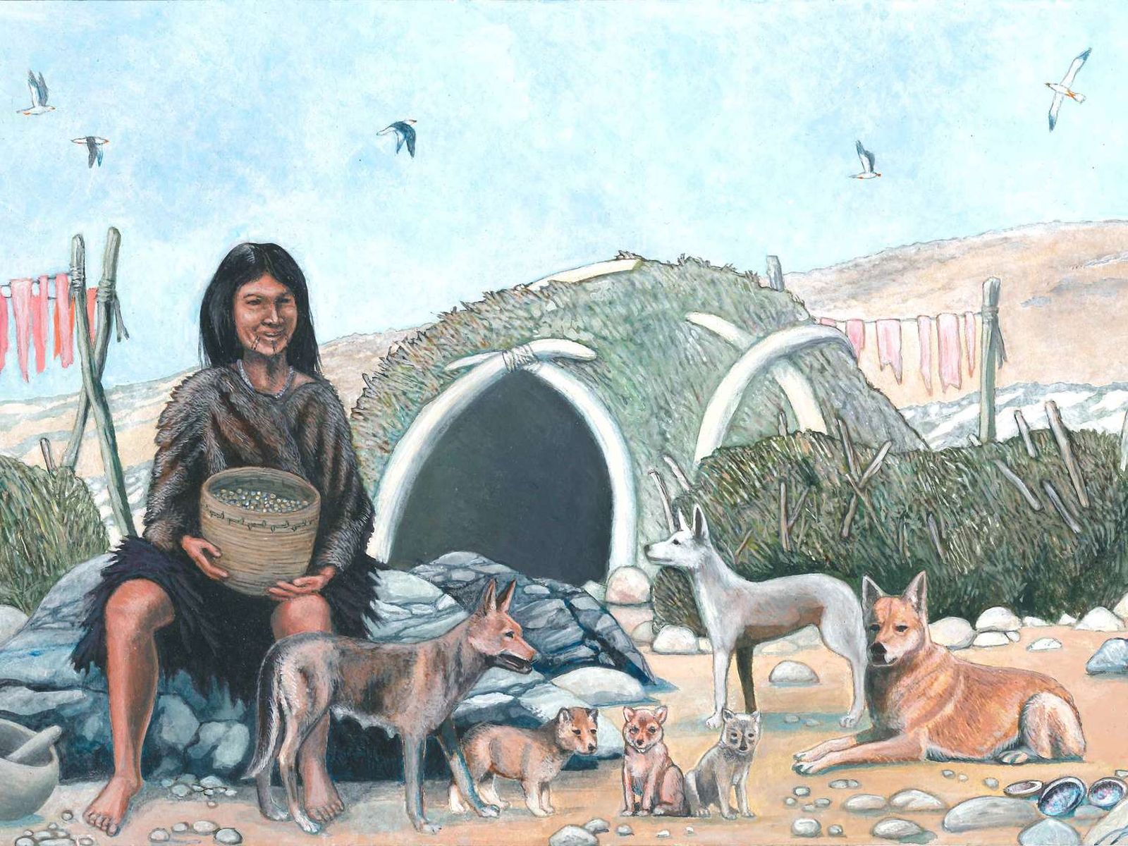 native american indian woman sitting next to thatched hut with dogs.