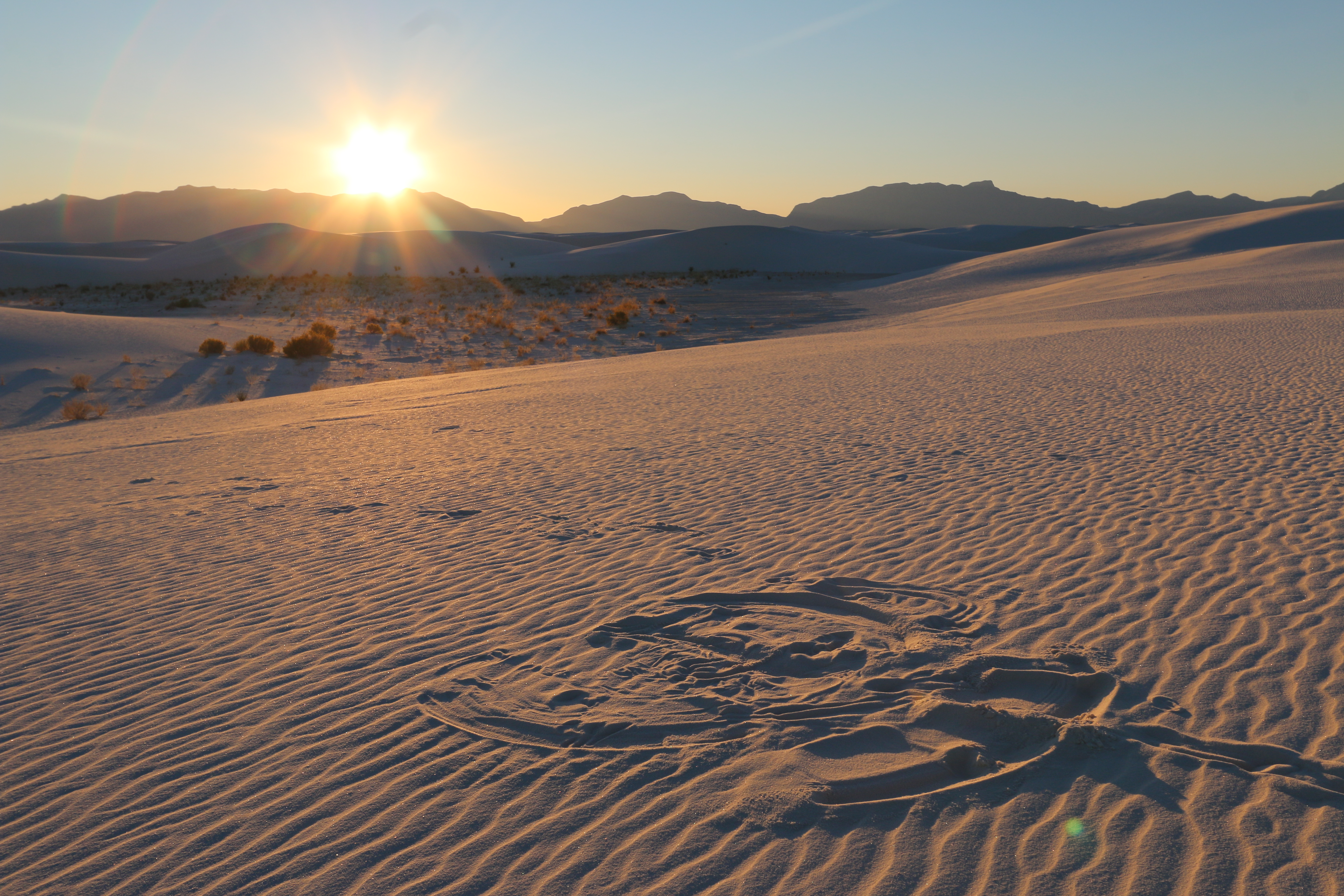 A "sand angel" in the dunefield at sunset.