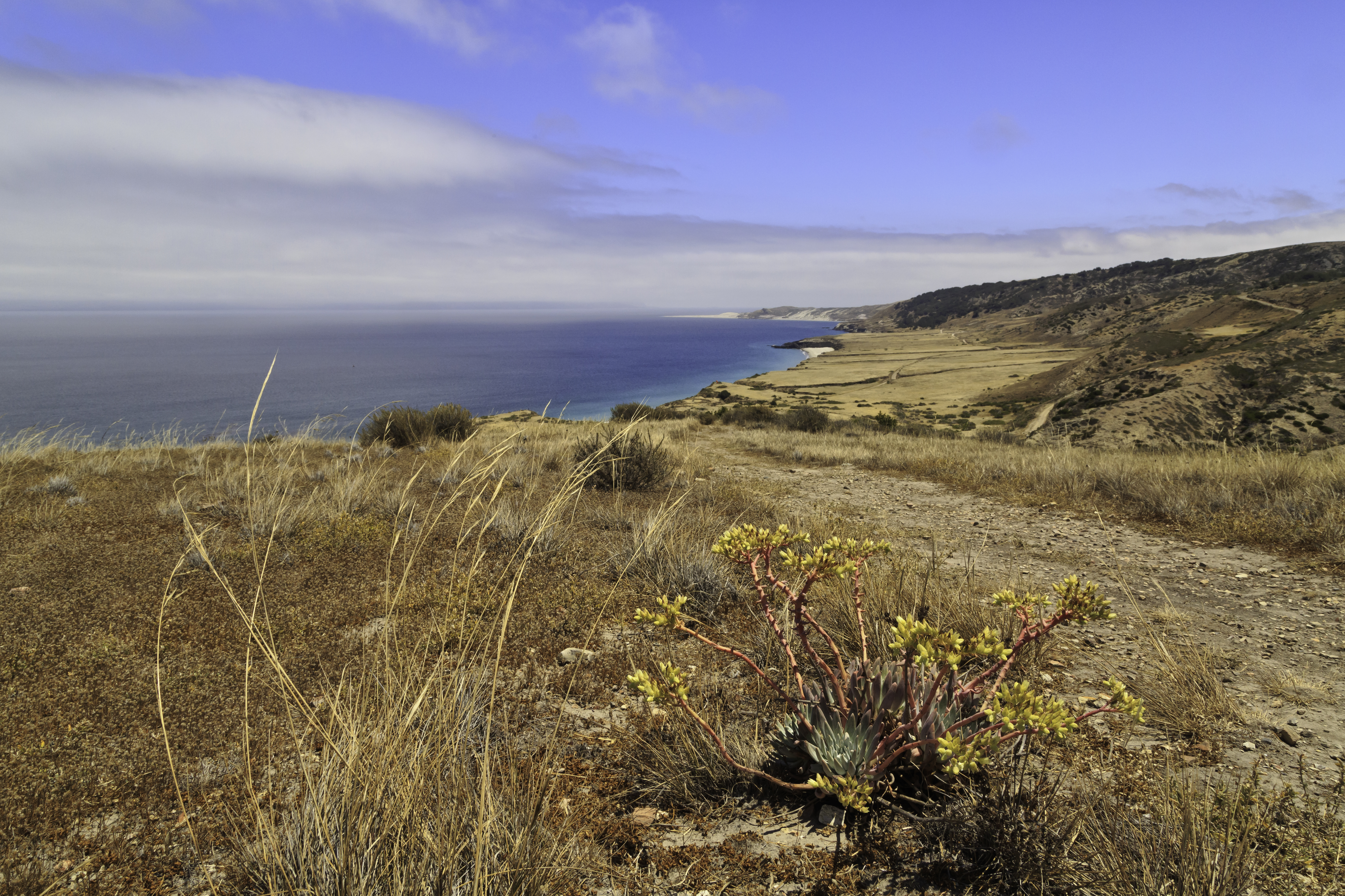 trail in grass overlooking shallow bay