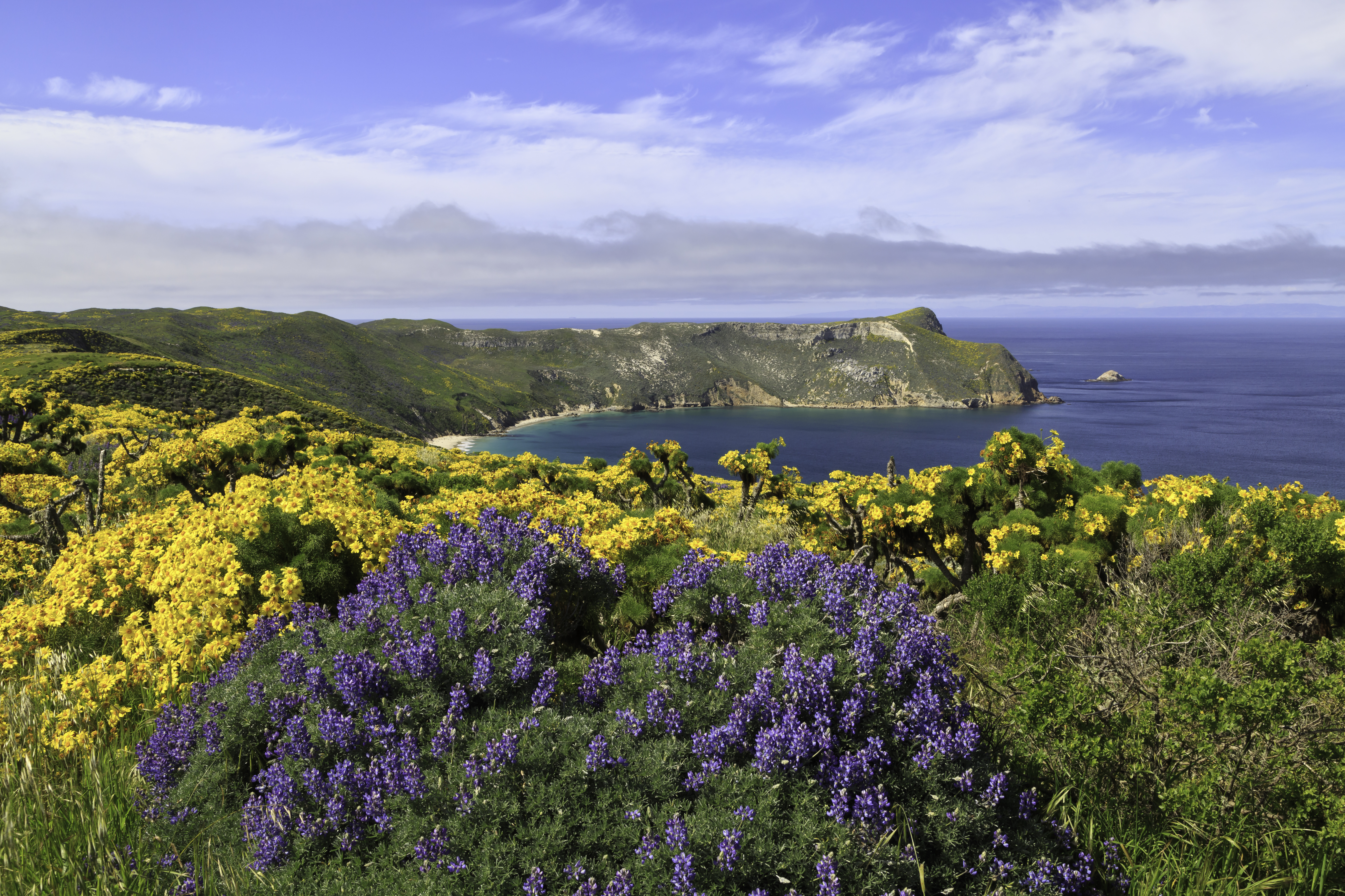view from bluff overlooking harbor and steep ocean cliffs.