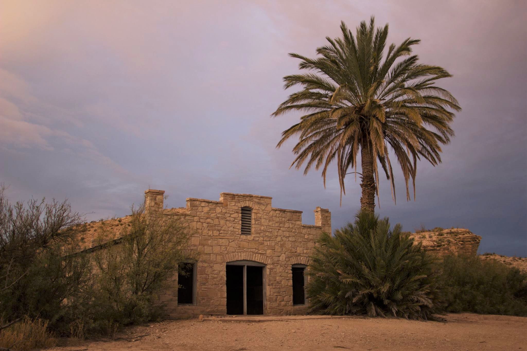 A large palm tree is growing next to a building constructed of white stone.