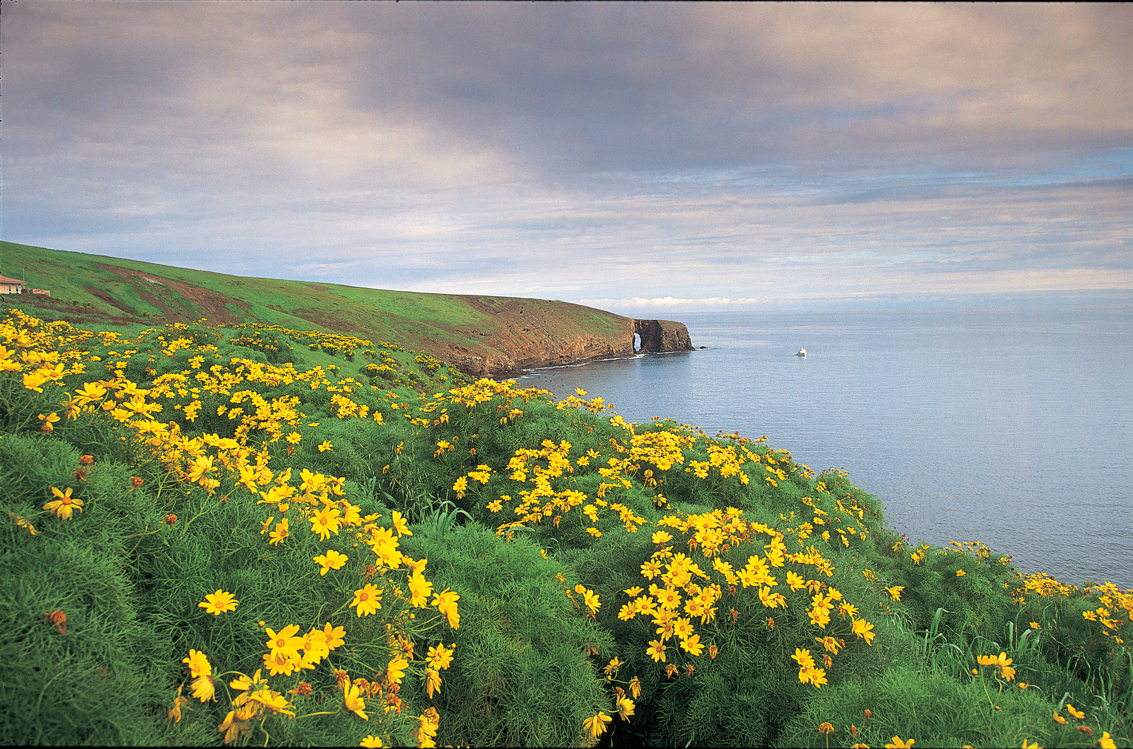 view of bay with steep ocean bluffs